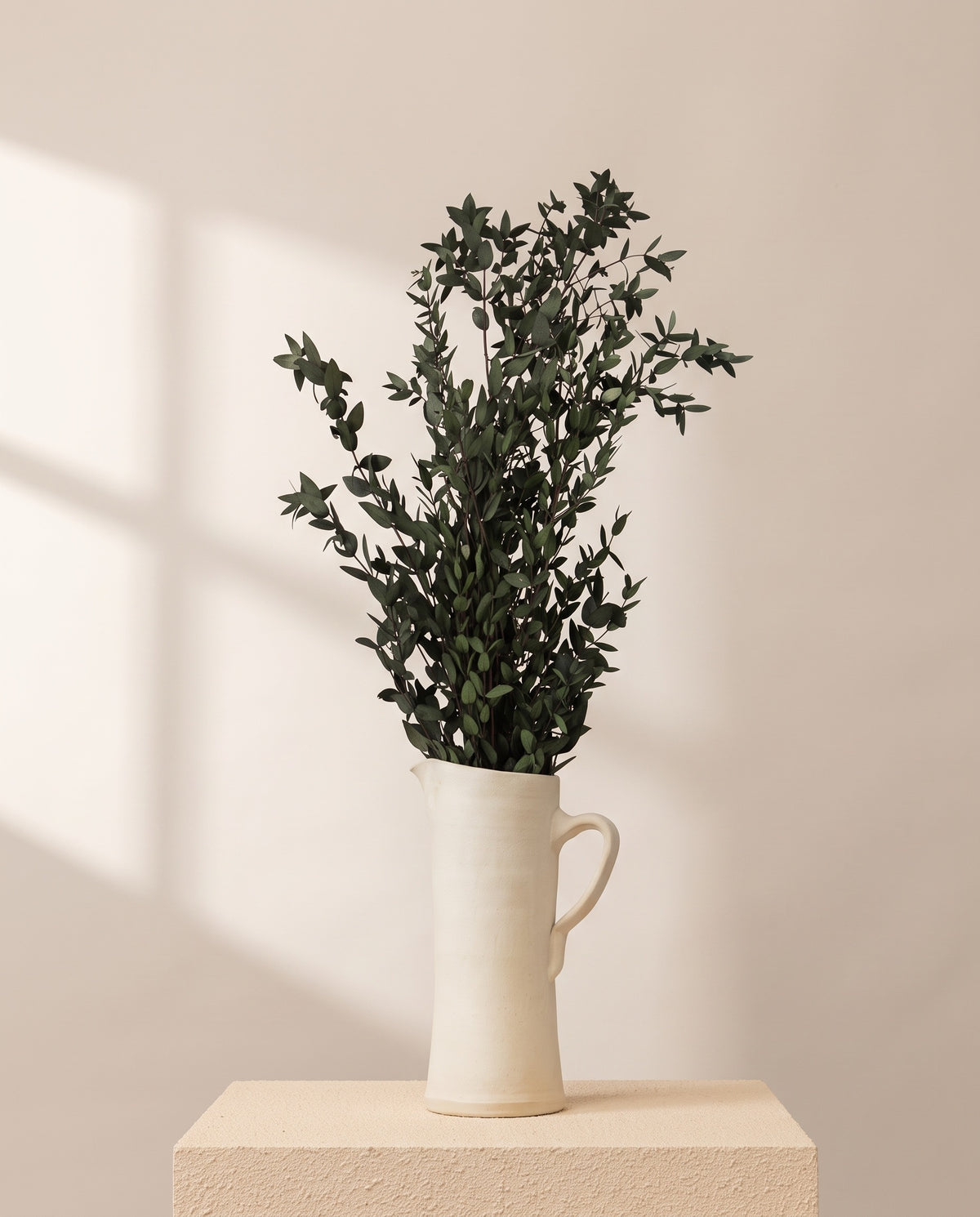 Eucalipto Parvifolia preservado verde en una jarra de cerámica crema. Jarra no incluida.