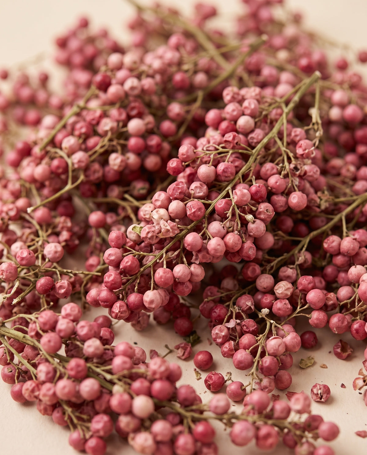 Detalle de cerca: falsa pimienta seca rosa.