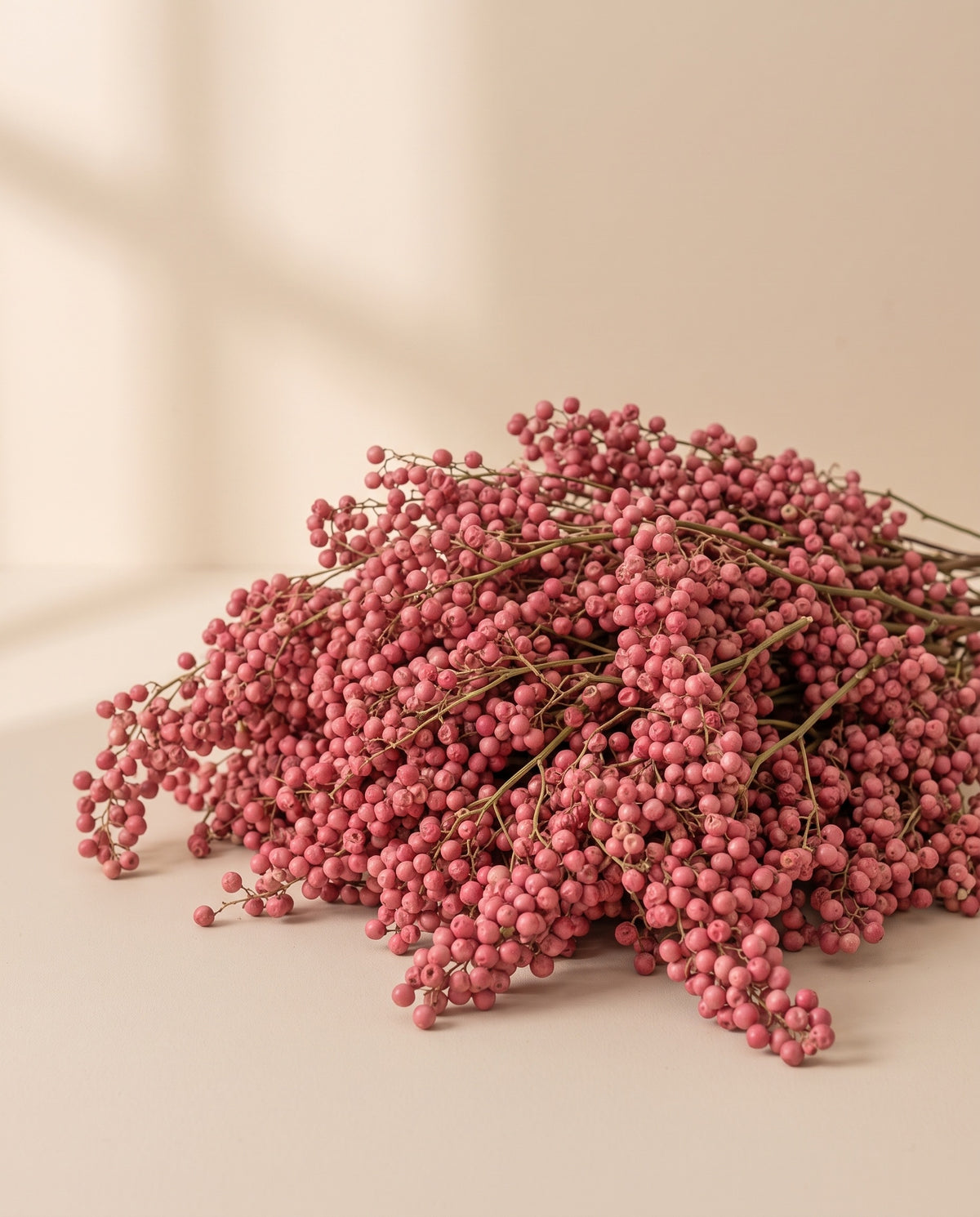 Falsa pimienta seca rosa, un montoncito visto desde arriba.