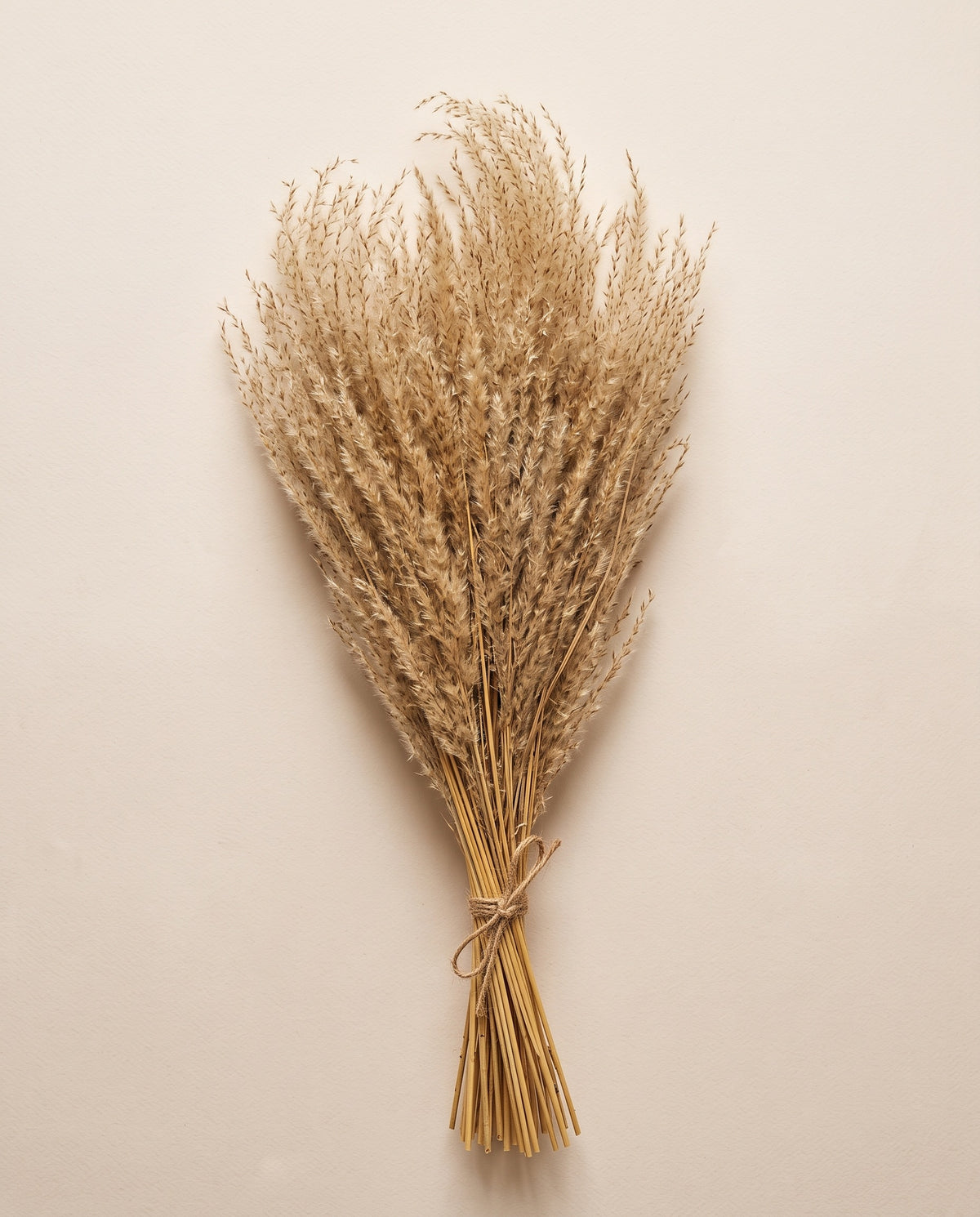 Fine grass seco natural