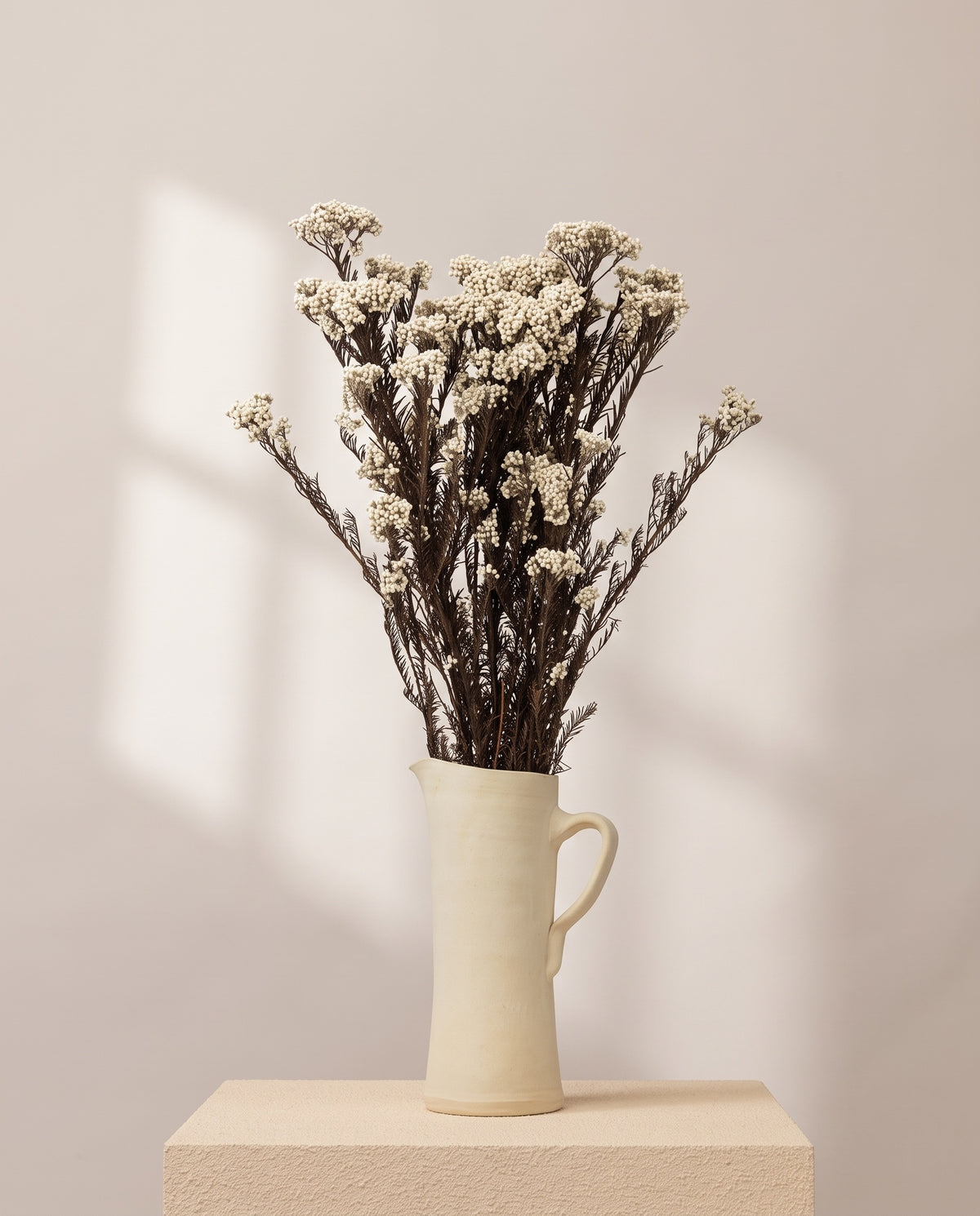 Flor de arroz preservada blanca en una jarra de cerámica crema. Jarra no incluida.