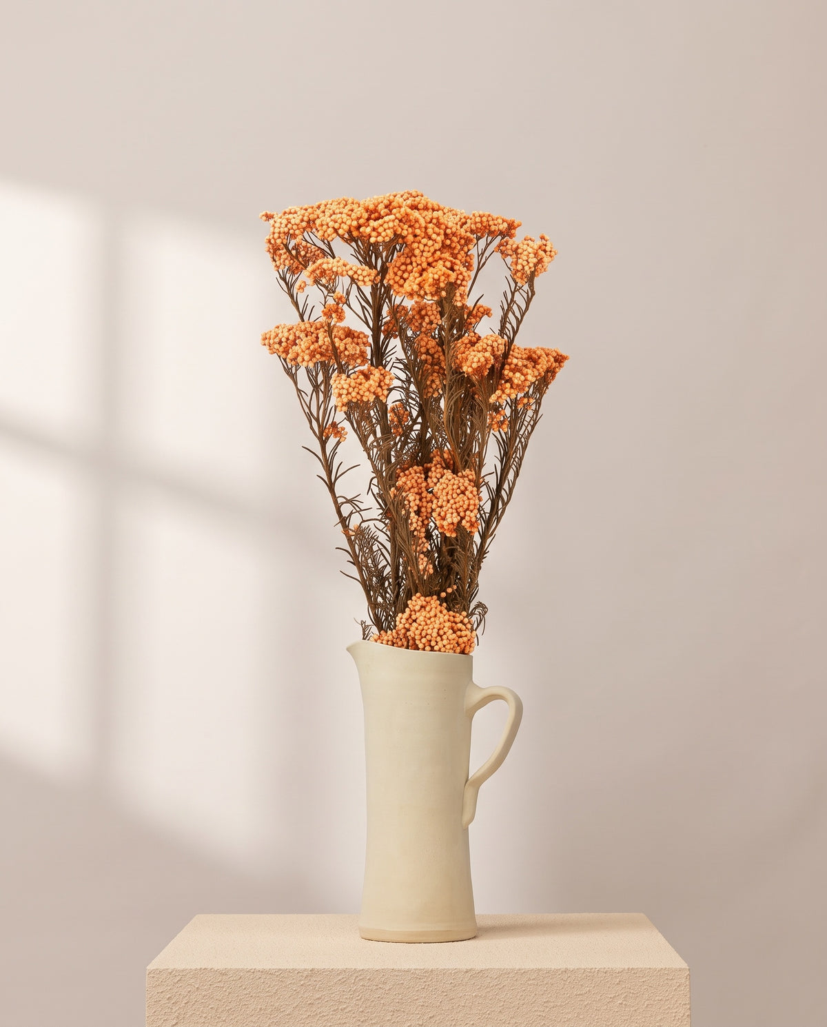 Flor de arroz preservada naranja claro en una jarra de cerámica crema. Jarra no incluida.