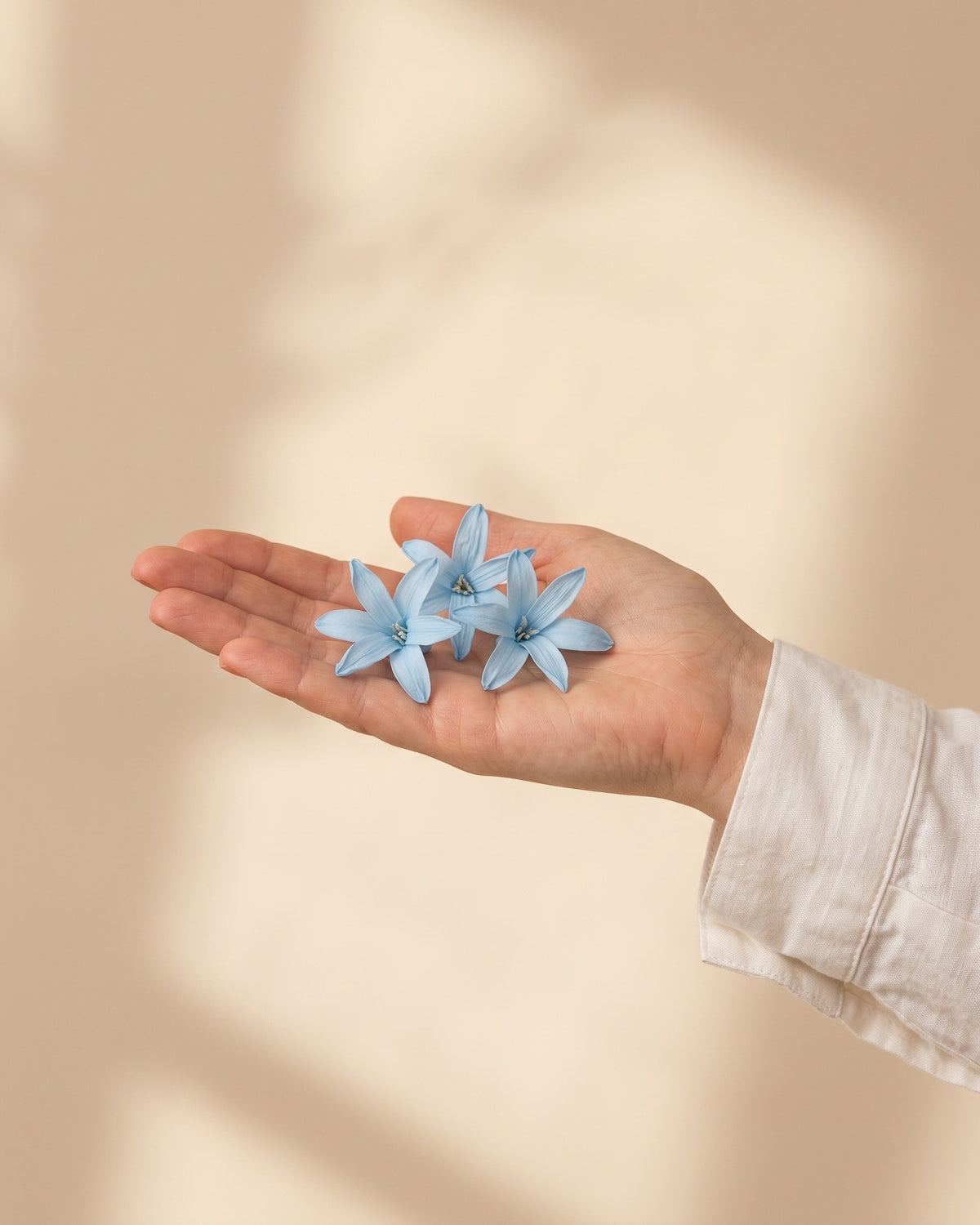 Flores de nardo preservadas celestes, unas cabezas en la palma de la mano para ver su tamaño real