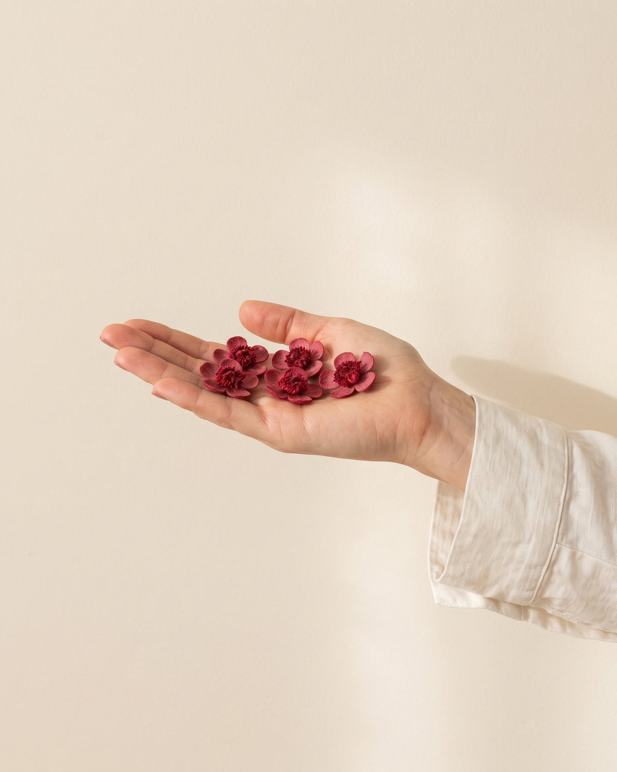 Flores Myosotis preservadas cereza, unas cabezas en la palma de la mano para ver su tamaño real