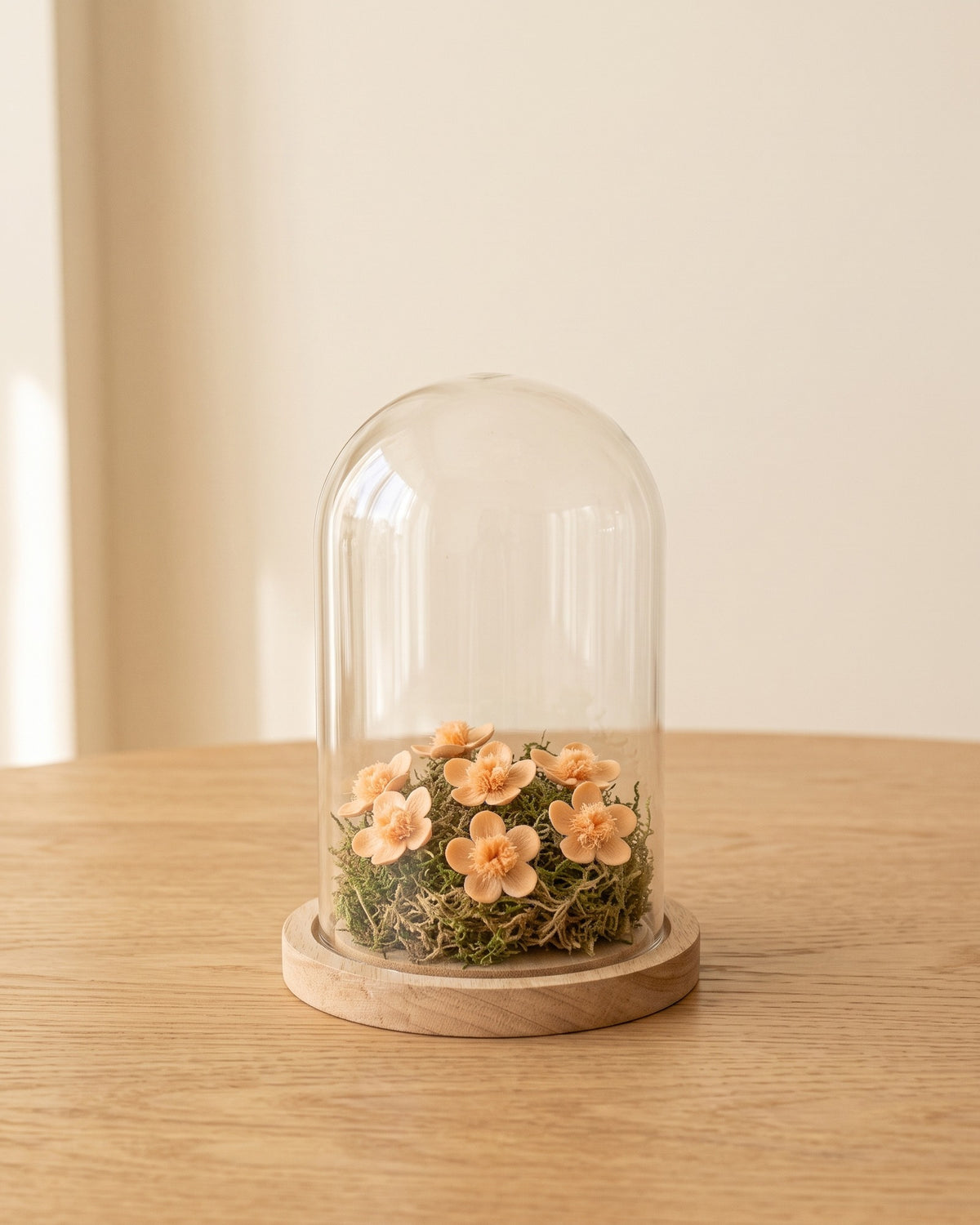 Flores Myosotis preservadas salmón en una cúpula, ambientadas. Cúpula no incluida.
