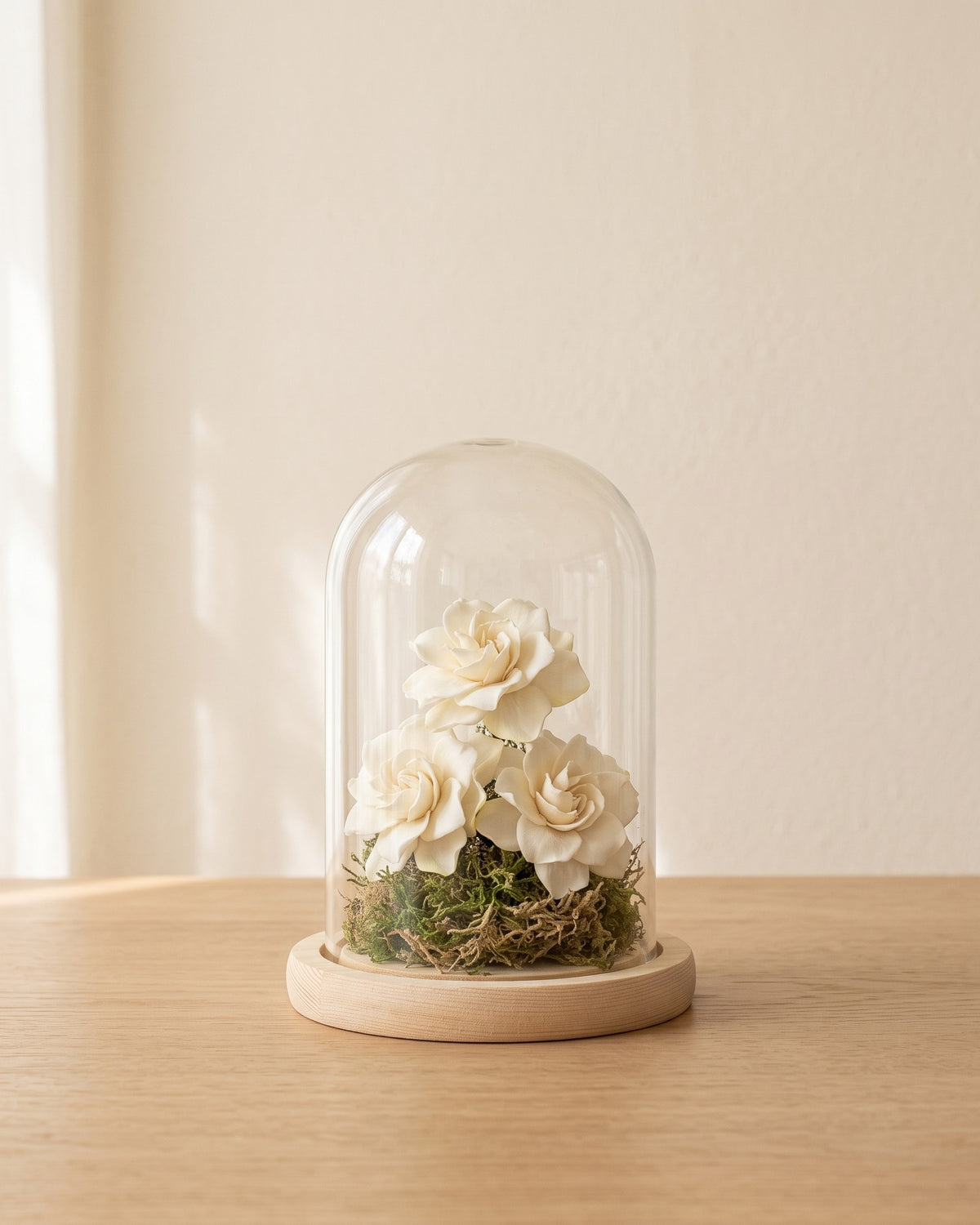 Gardenias preservadas blancas en una cúpula, ambientadas. Cúpula no incluida.