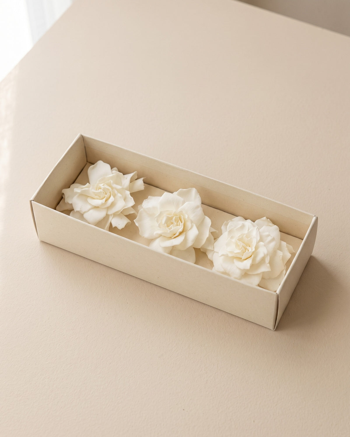 Gardenias preservadas blancas, cabezas en una caja abierta