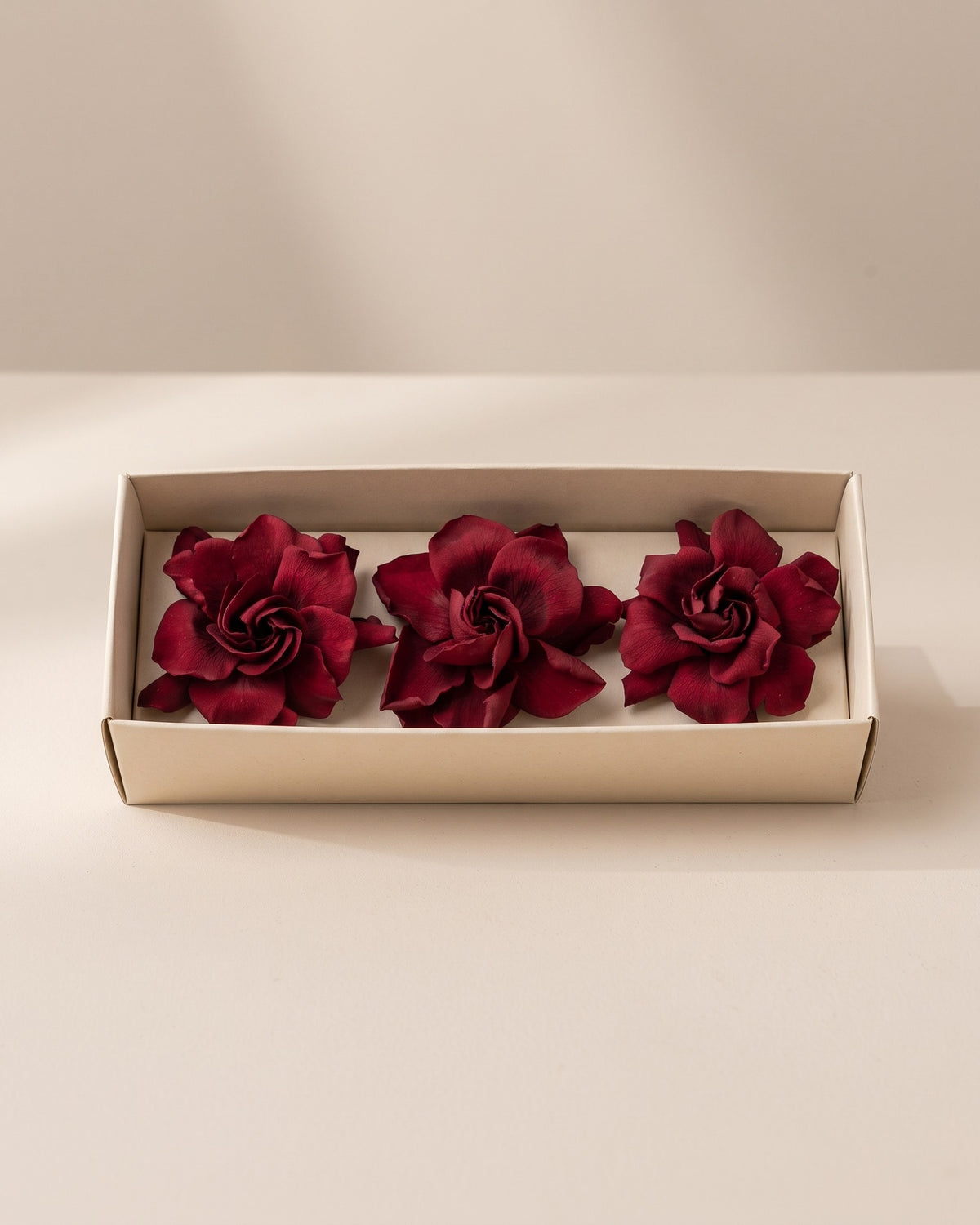 Gardenias preservadas burdeos, cabezas en una caja abierta