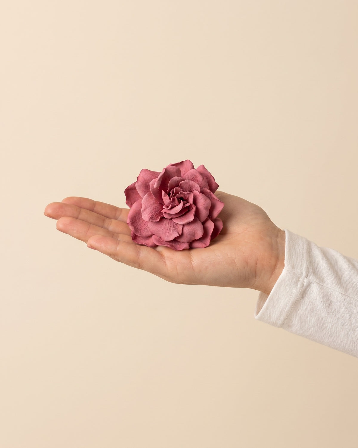 Gardenia preservada cereza, una cabeza en la palma de la mano para ver su tamaño real