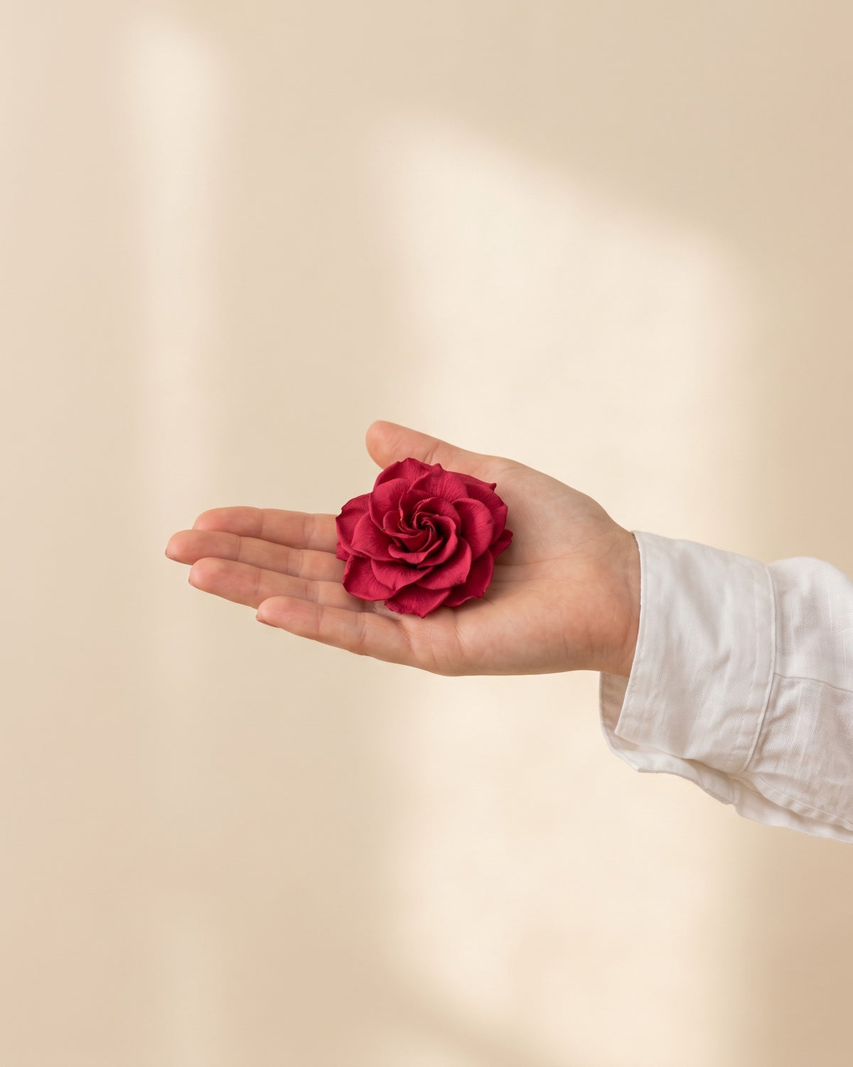 Gardenia preservada fucsia, una cabeza en la palma de la mano para ver su tamaño real