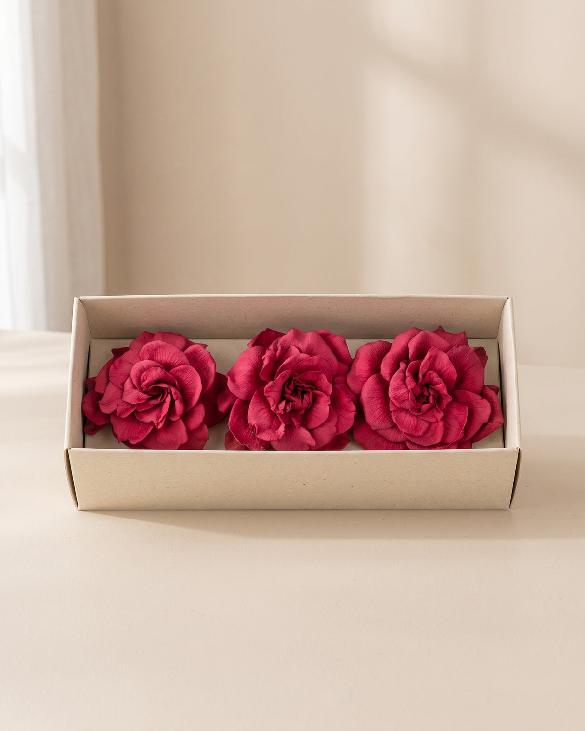 Gardenias preservadas fucsia, cabezas en una caja abierta