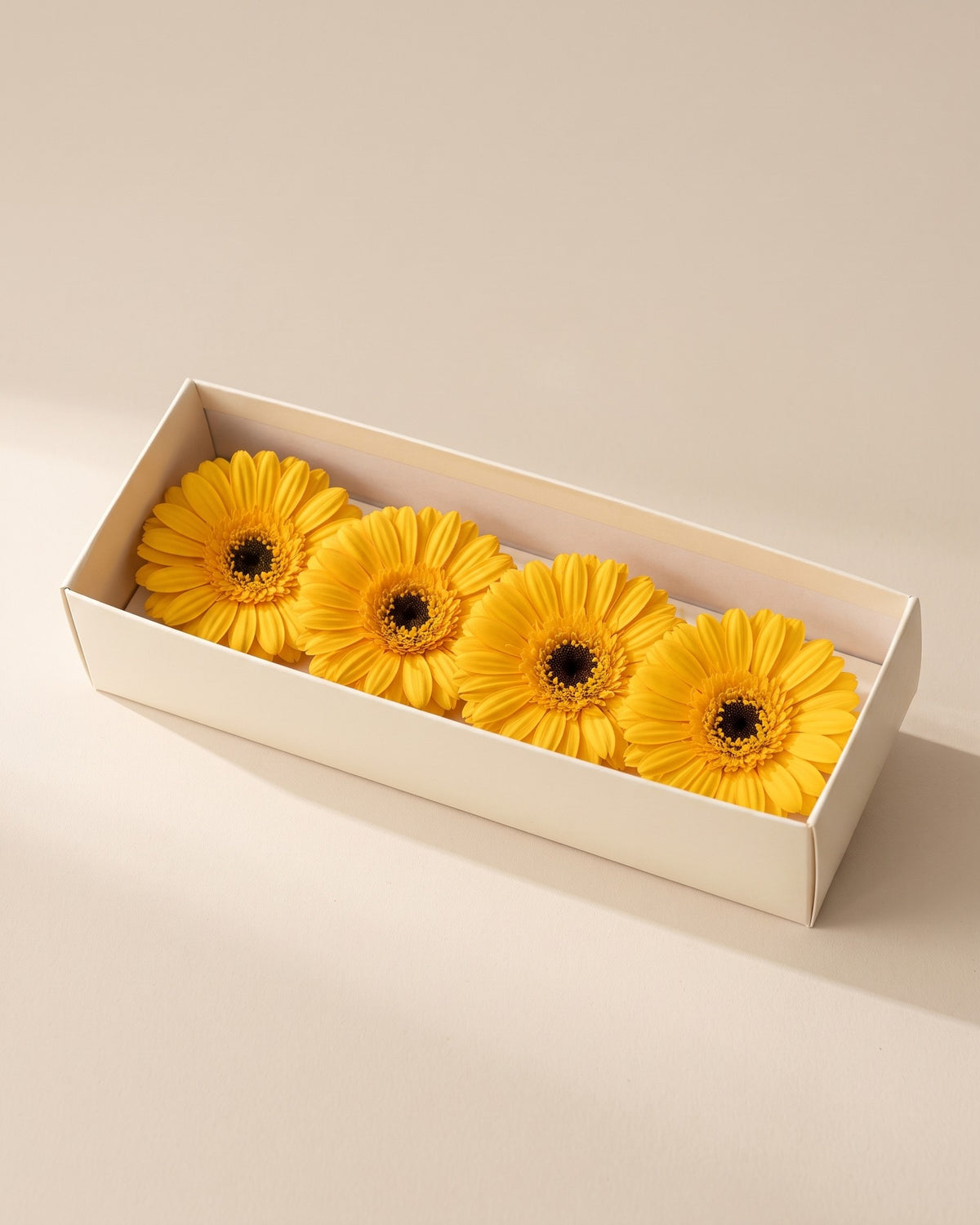 Gerberas preservadas amarillas, cabezas en una caja abierta