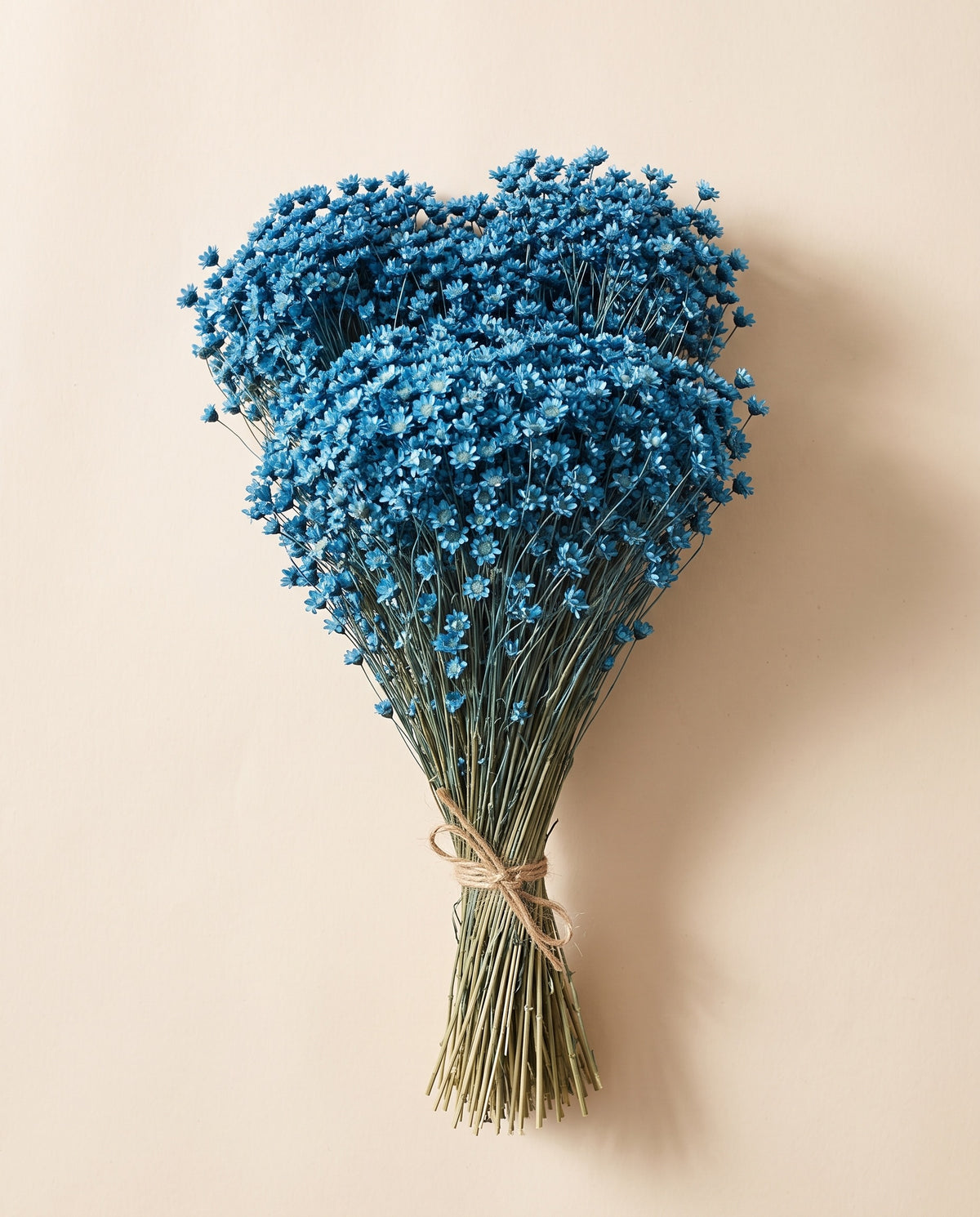 Glixia seca azul