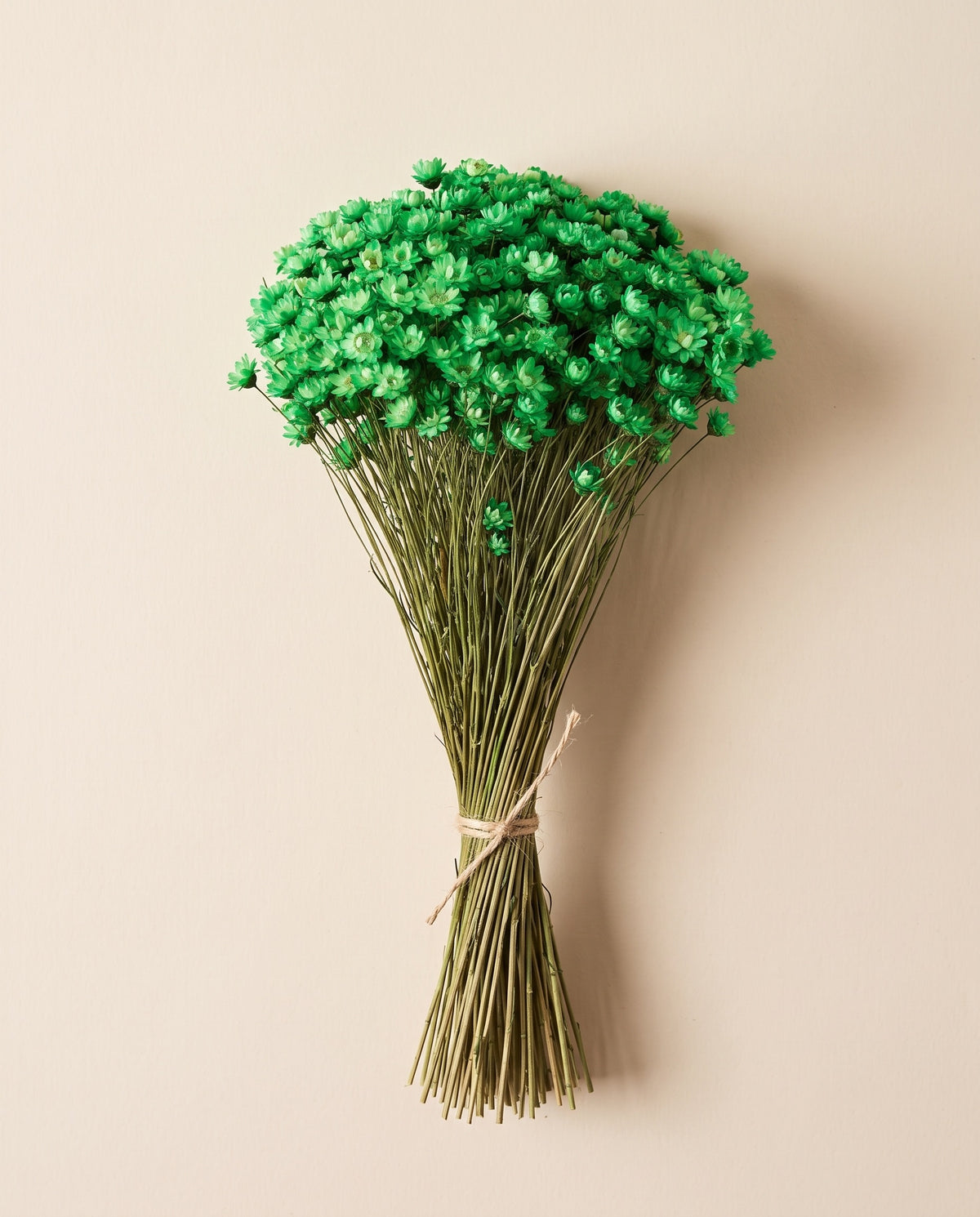 Glixia seca verde