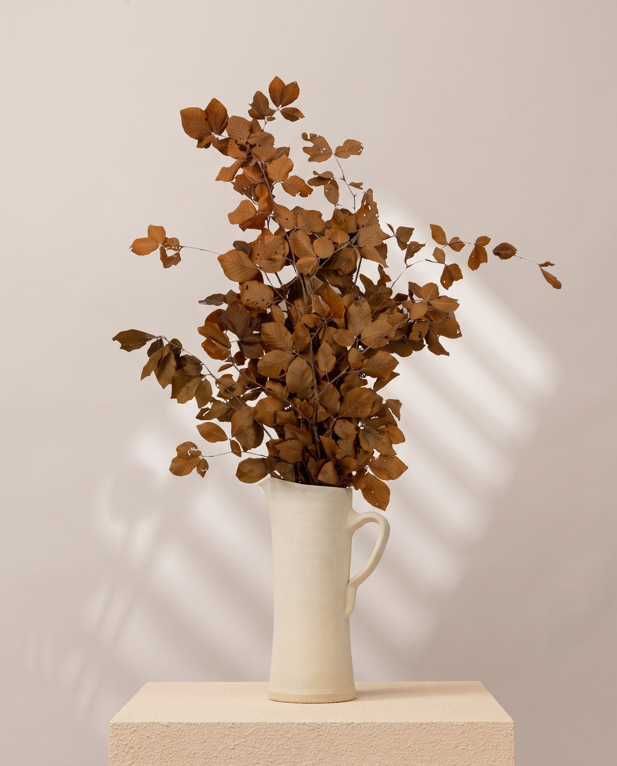 Faia preservada castanha numa jarra de cerâmica creme, em ambiente decorado. Jarra não incluída.