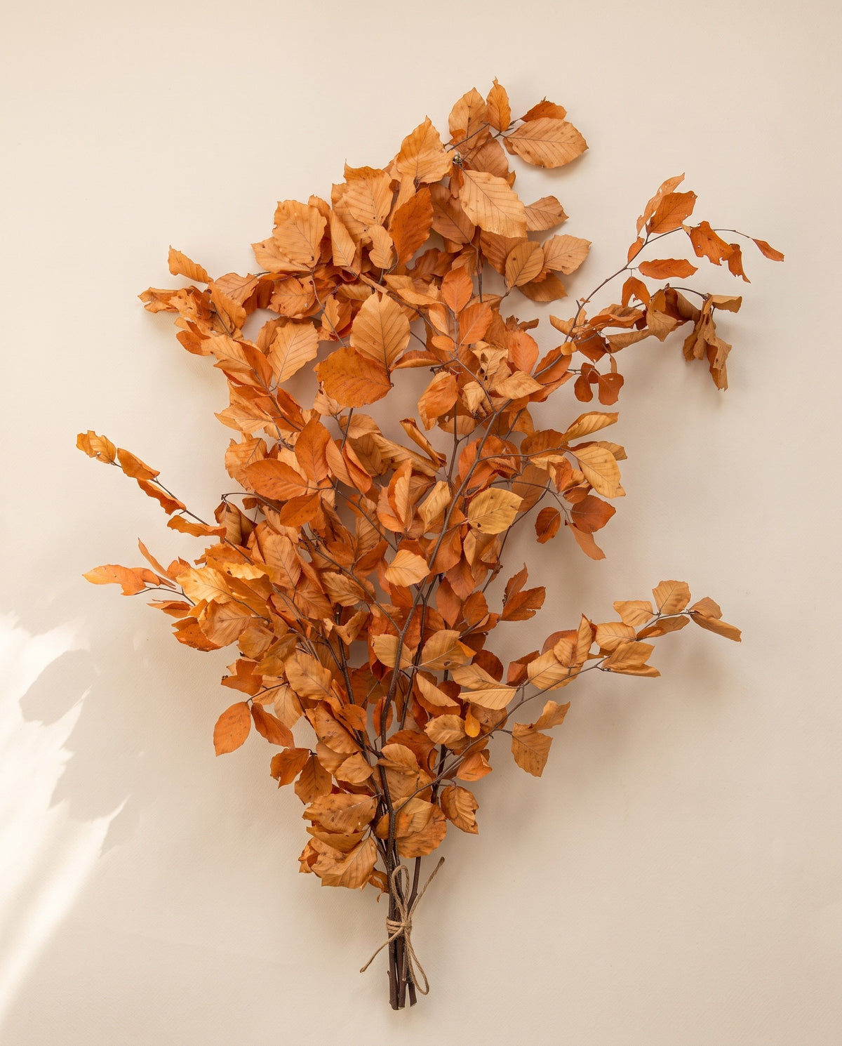 Faia preservada laranja, molho visto de cima