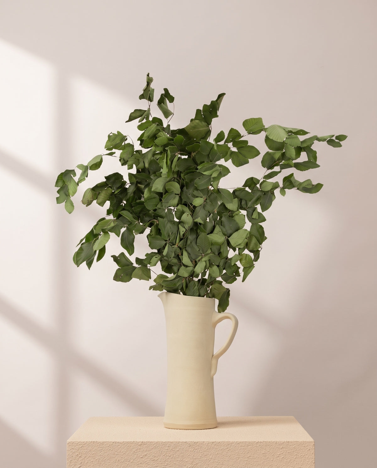 Faia preservada verde numa jarra de cerâmica creme, em ambiente decorado. Jarra não incluída.