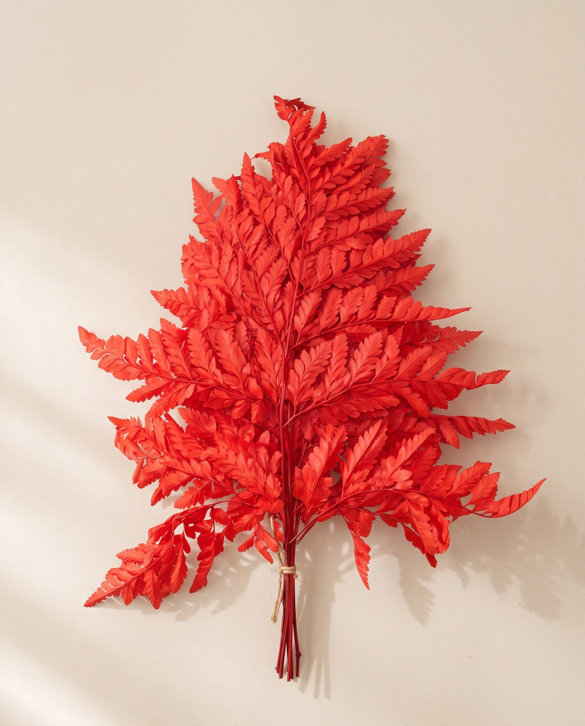 Feto-couro preservado vermelho, molho visto de cima