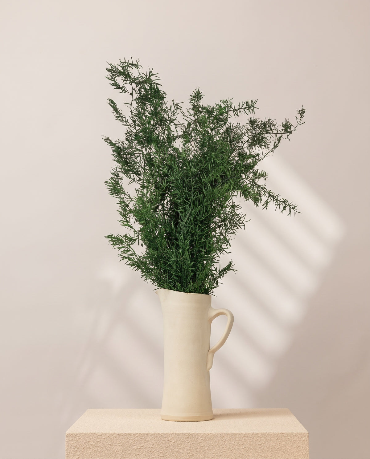 Feto sprengeri preservado verde numa jarra de cerâmica creme, em ambiente decorado. Jarra não incluída.