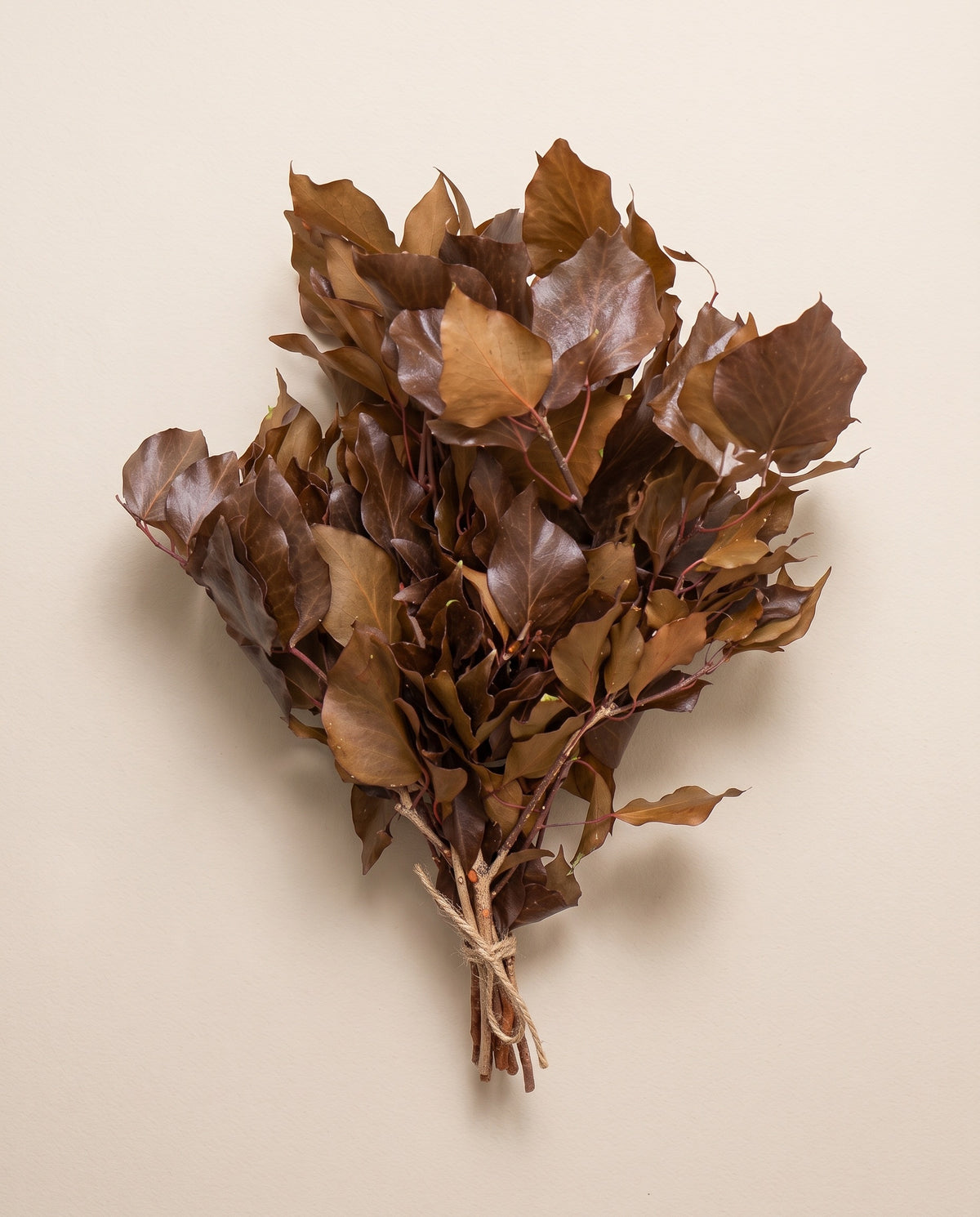 Hera preservada chocolate, molho visto de cima