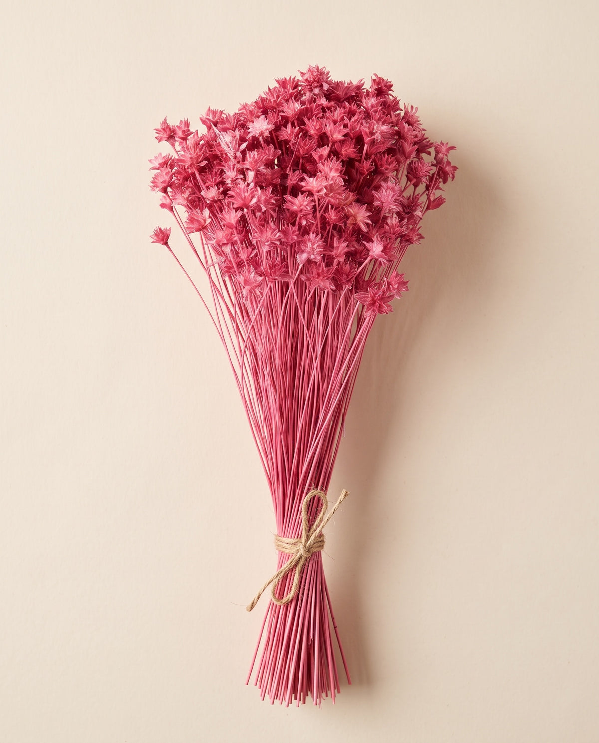 Hill flower seca cereza