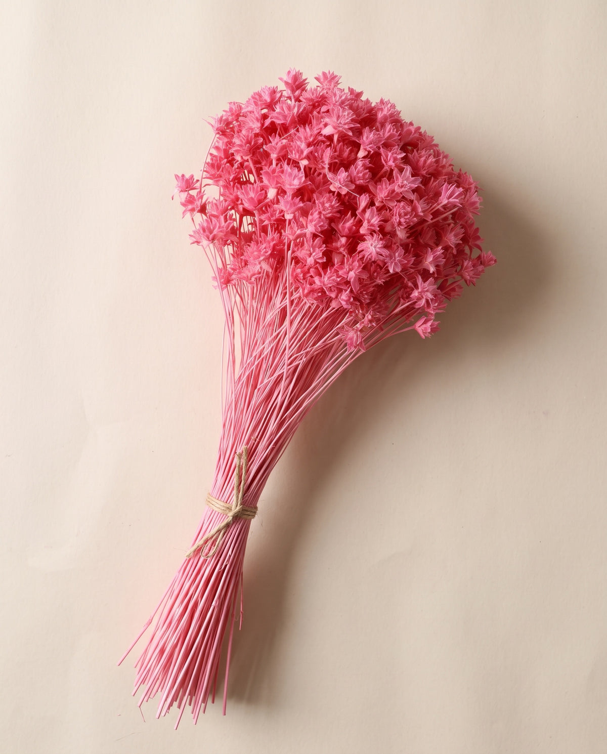 Hill flower seca fucsia