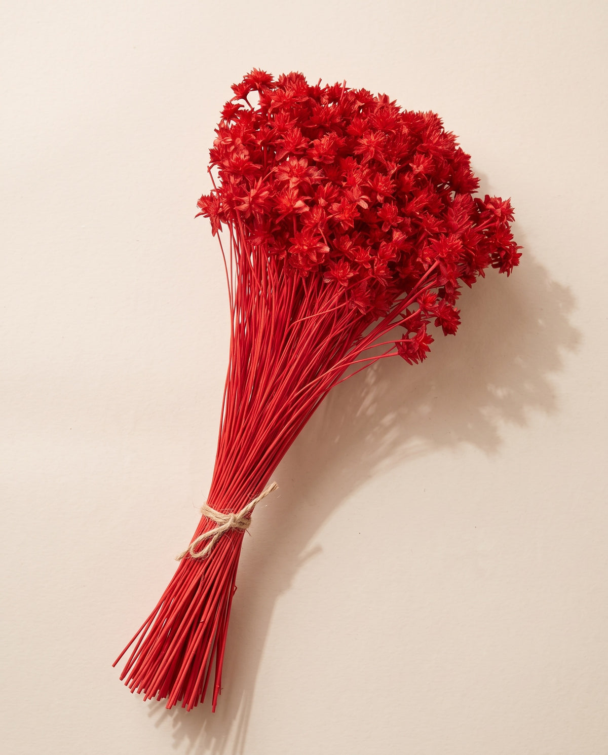 Hill flower seca roja