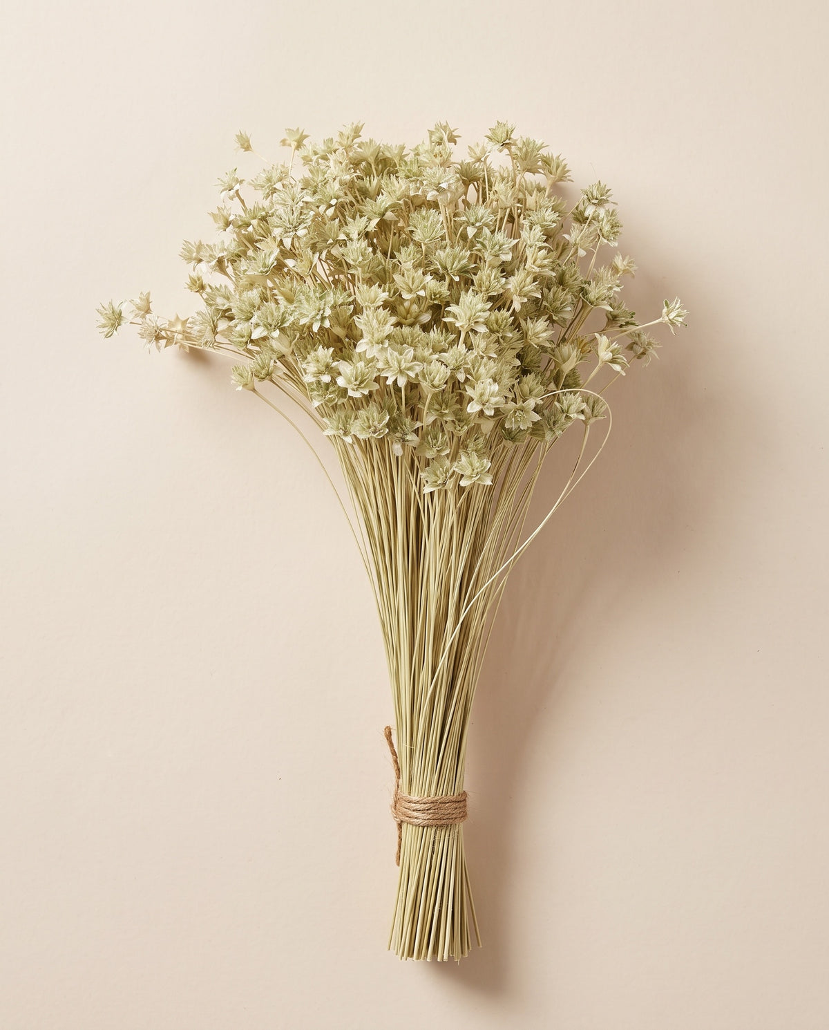 Hill flower seca verde claro