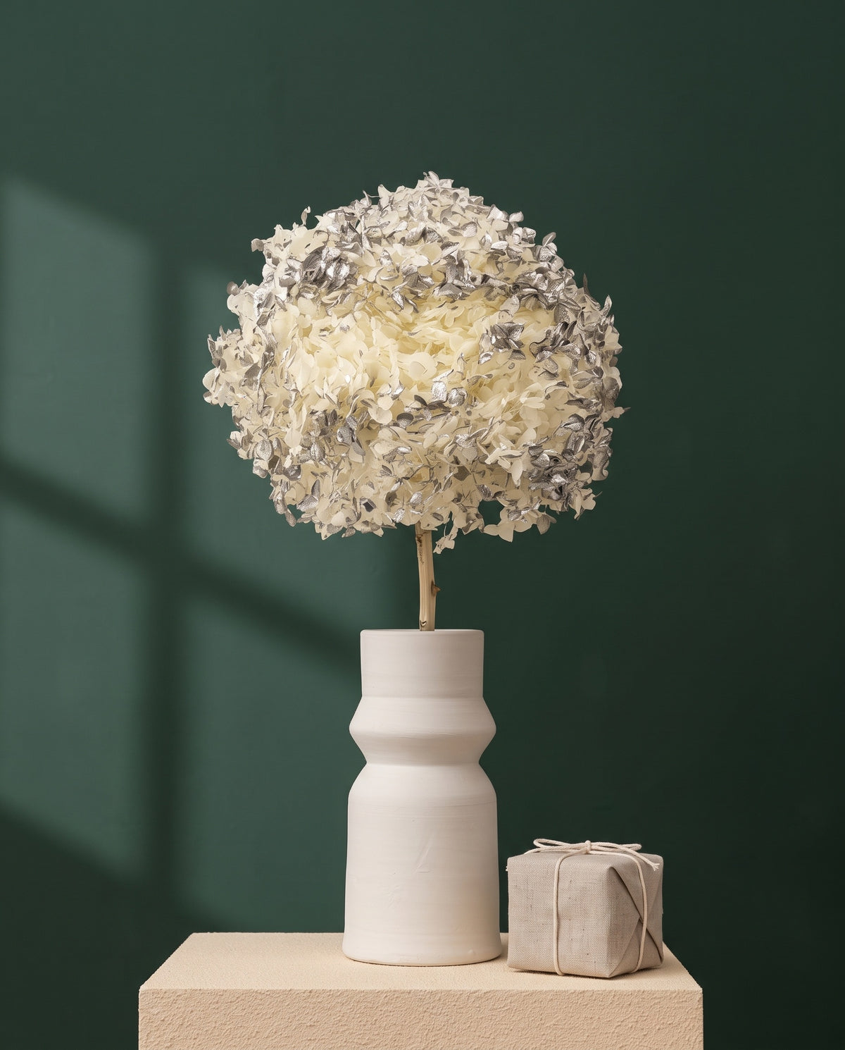 Hortensia Annabella preservada plateada con tallo en jarrón de cerámica blanca, con caja regalo de lino y pared verde bosque. Jarrón y caja no incluidos.