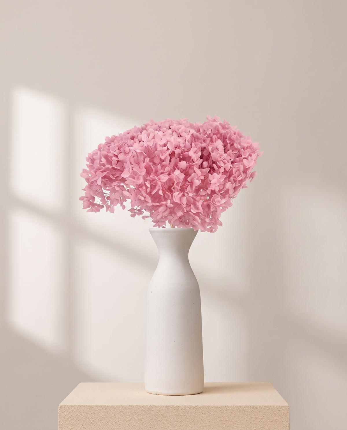 Hortensia Annabella preservada rosa sobre un jarrón de cerámica blanca. Jarrón no incluido.