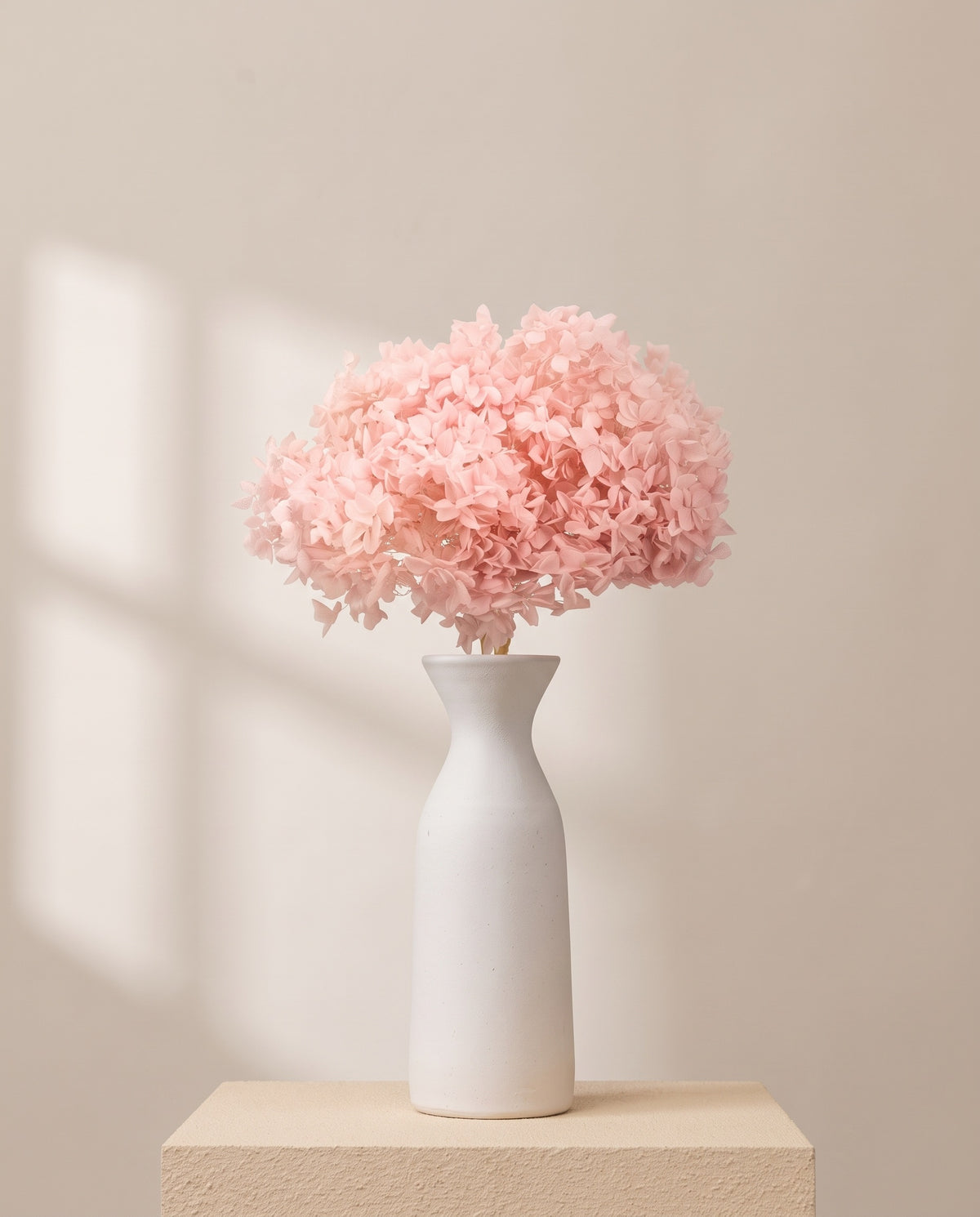 Hortensia Annabella preservada rosa claro sobre un jarrón de cerámica blanca. Jarrón no incluido.
