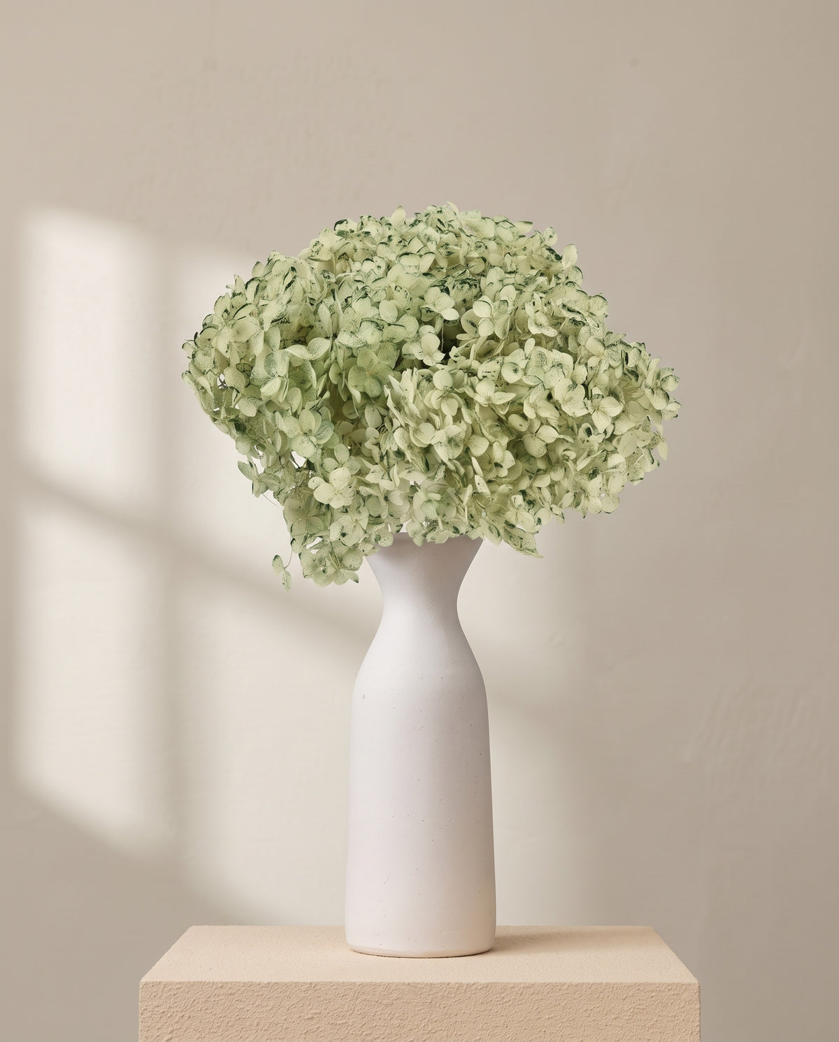 Hortensia Annabella preservada verde menta sobre un jarrón de cerámica blanca. Jarrón no incluido.