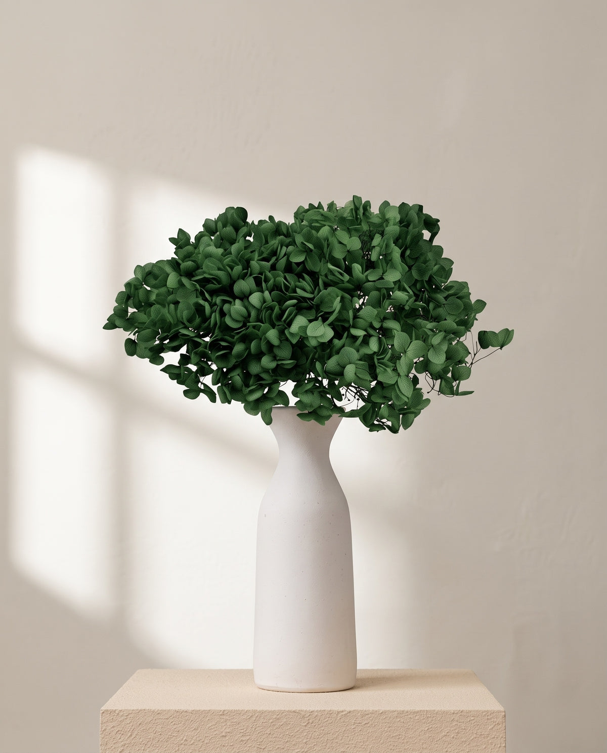 Hortensia Annabella preservada verde oscuro sobre un jarrón de cerámica blanca. Jarrón no incluido.