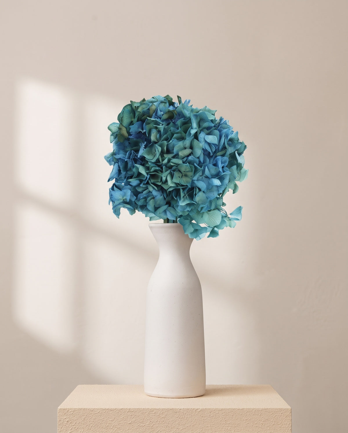 Hortensia preservada azul y verde sobre un jarrón de cerámica blanca. Jarrón no incluido.