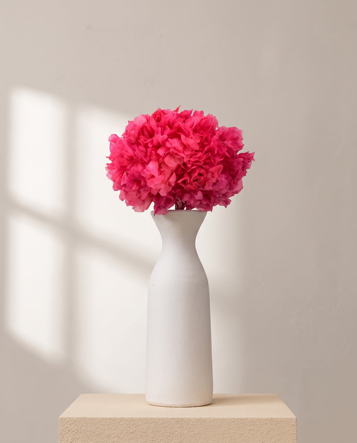 Hortensia preservada fucsia sobre un jarrón de cerámica blanca. Jarrón no incluido.