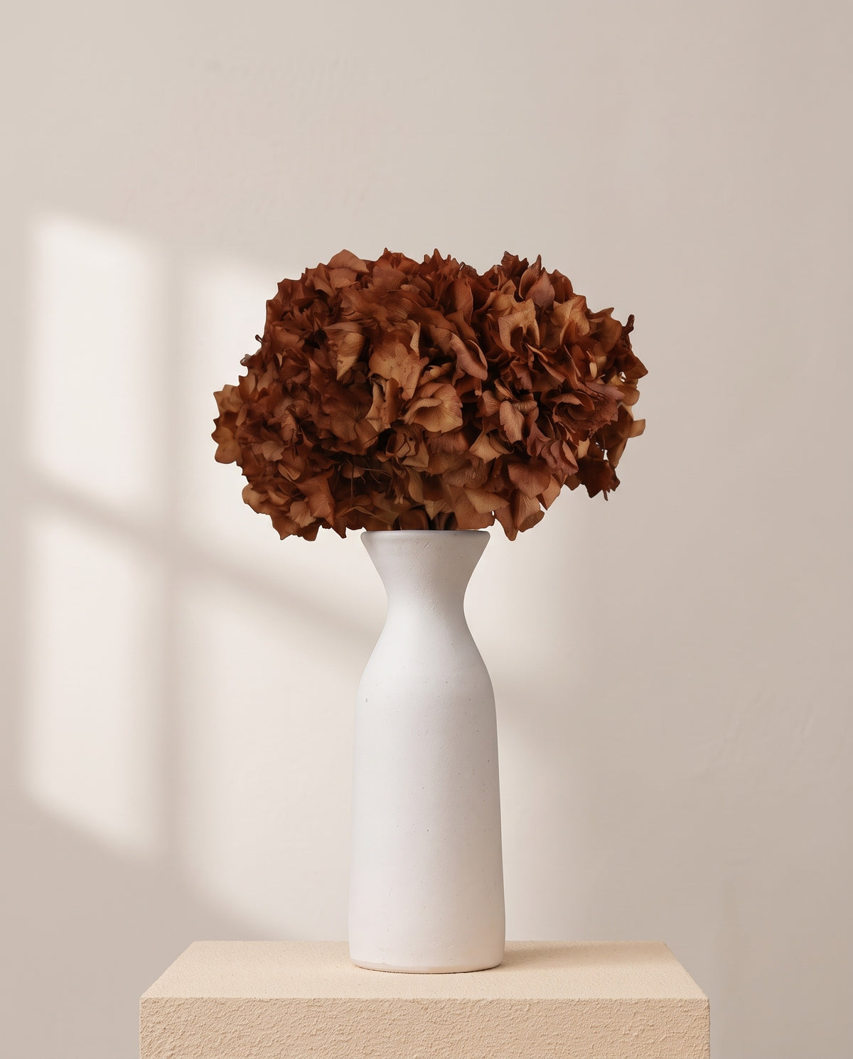 Hortensia preservada marrón sobre un jarrón de cerámica blanca. Jarrón no incluido.