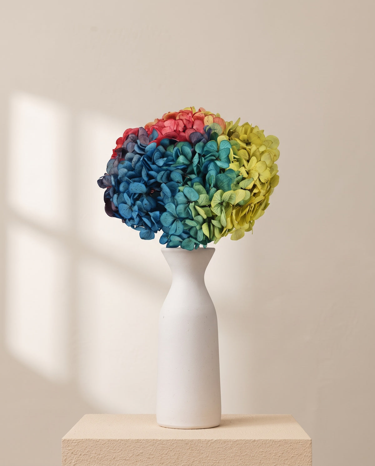Hortensia preservada multicolor sobre un jarrón de cerámica blanca. Jarrón no incluido.