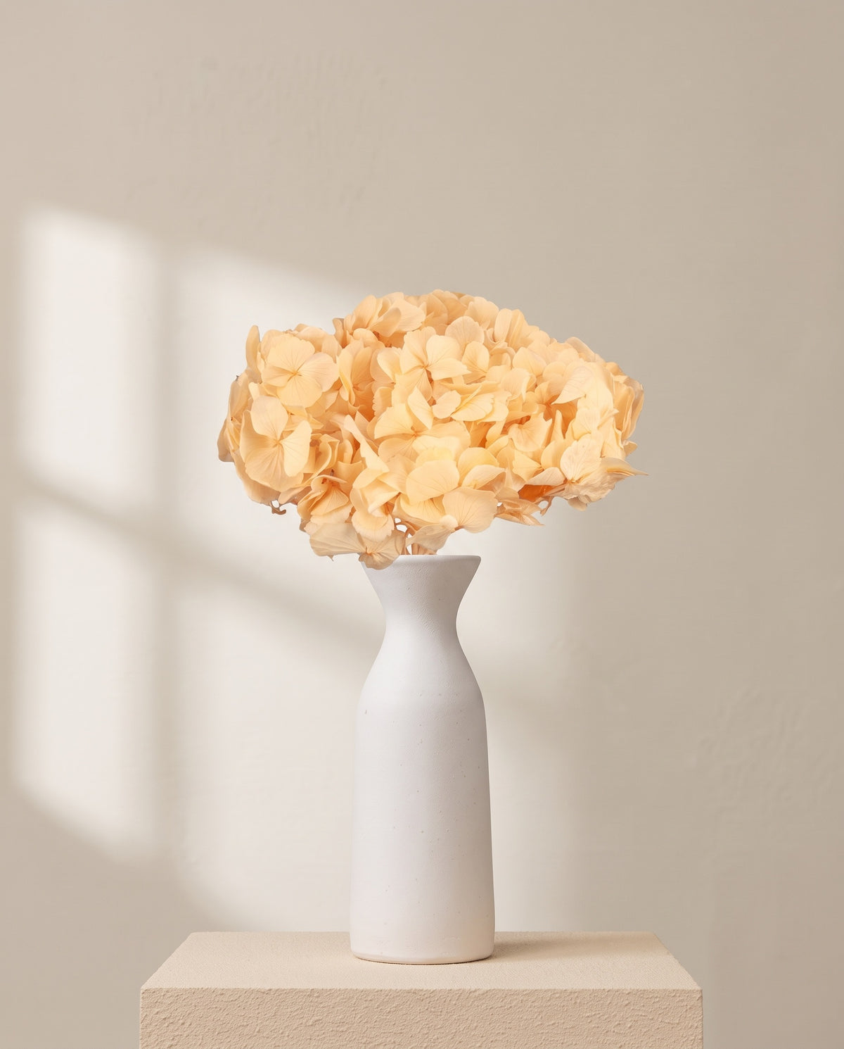 Hortensia preservada naranja claro sobre un jarrón de cerámica blanca. Jarrón no incluido.