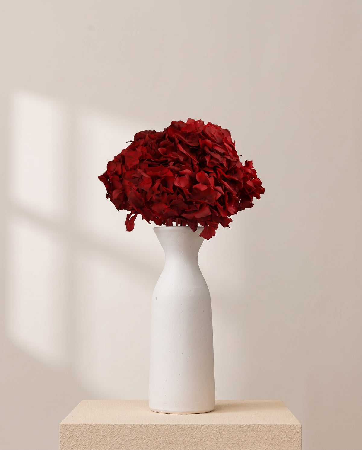 Hortensia preservada roja sobre un jarrón de cerámica blanca. Jarrón no incluido.