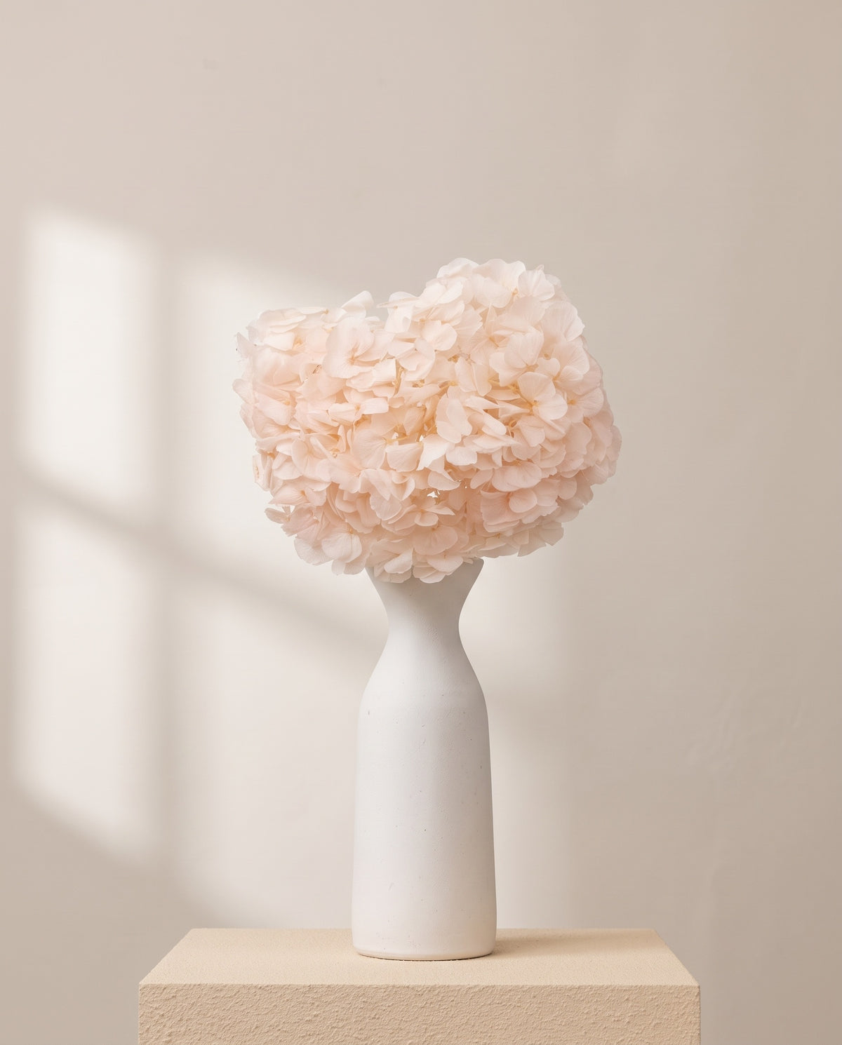 Hortensia preservada rosa claro de Colombia sobre un jarrón de cerámica blanca. Jarrón no incluido.