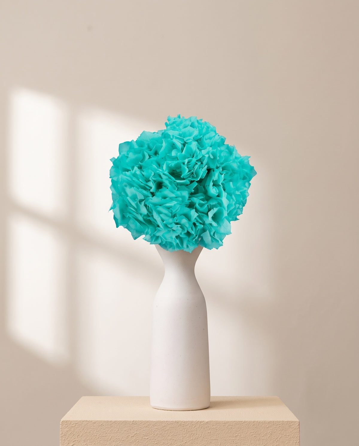 Hortensia preservada turquesa sobre un jarrón de cerámica blanca. Jarrón no incluido.
