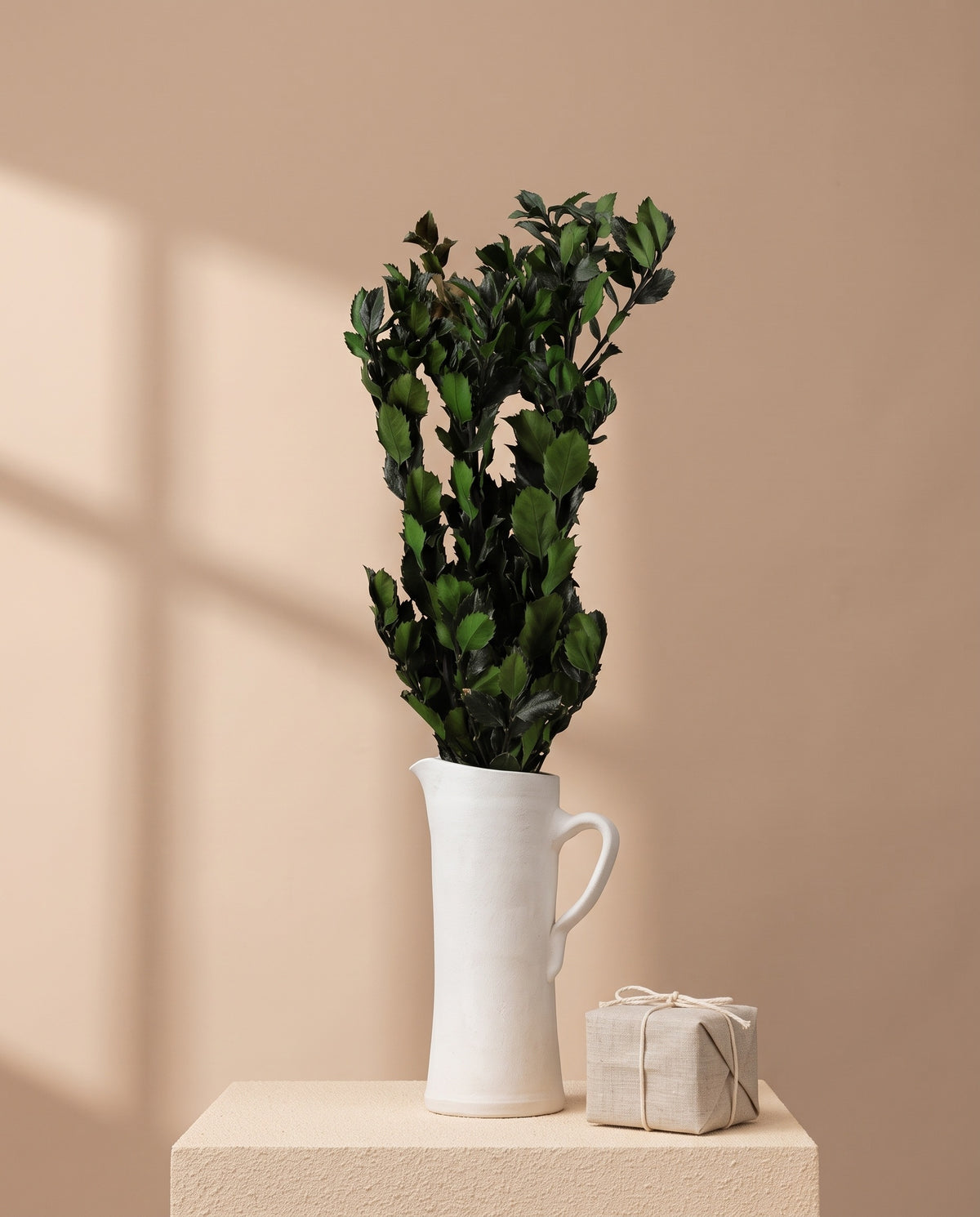 Ilex preservado verde en una jarra de cerámica crema. Jarra no incluida; tampoco la caja regalo.