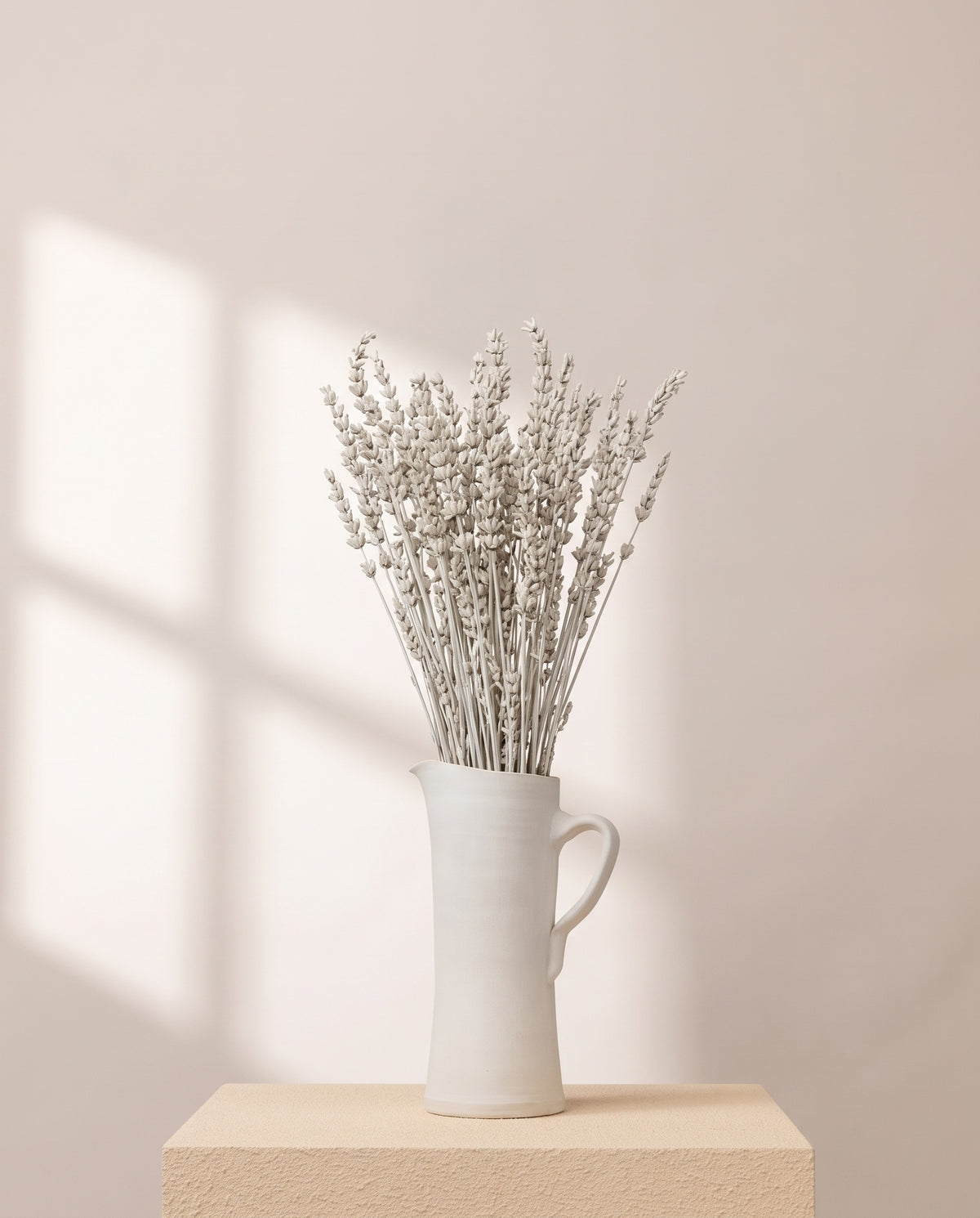 Lavanda preservada blanca en una jarra de cerámica crema. Jarra no incluida.