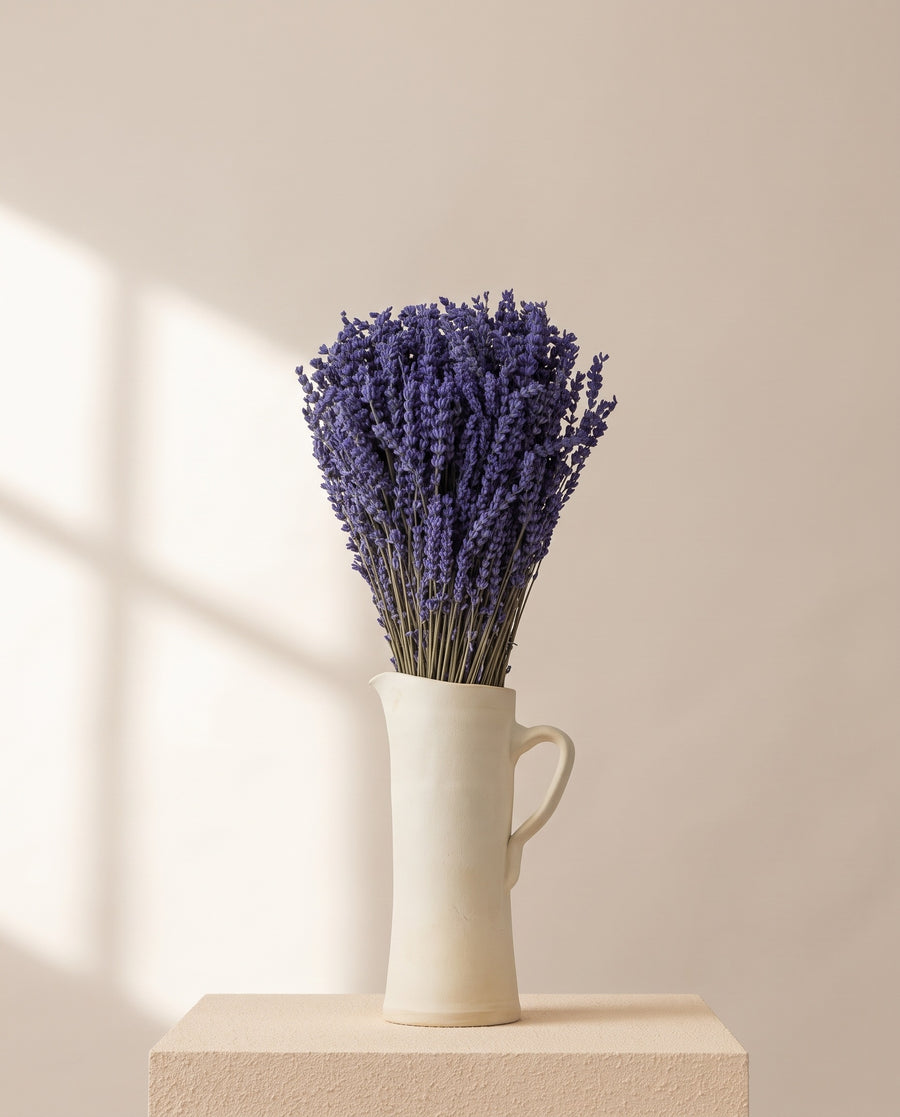 Lavanda preservada