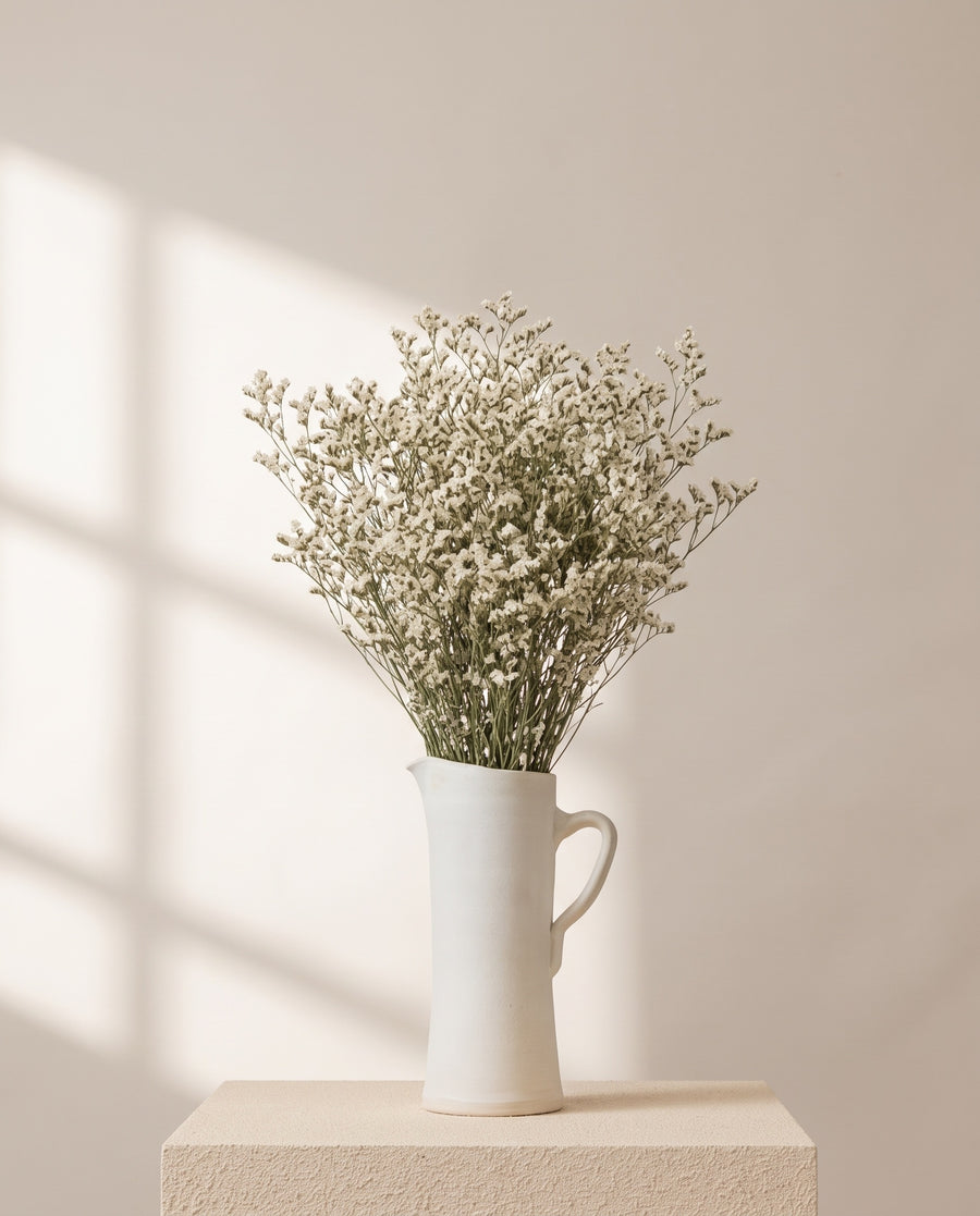 Limonium preservado