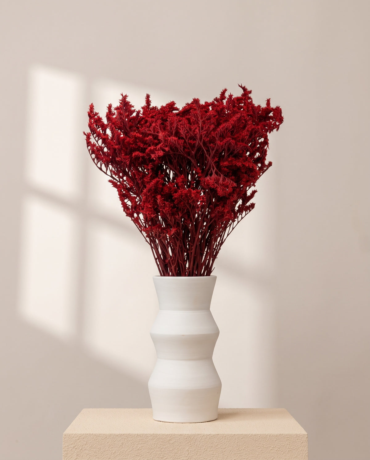 Limonium tatarica preservado rojo en un jarrón de cerámica blanca. Jarrón no incluido.