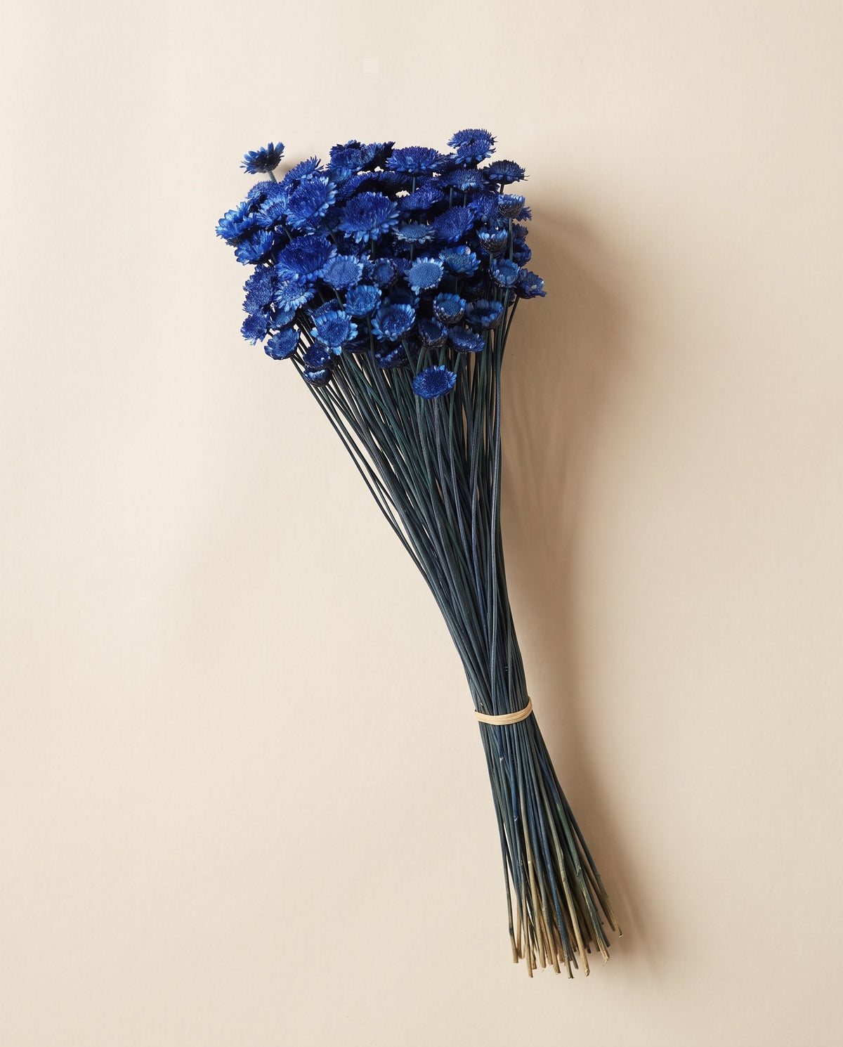 Margaret seca azul