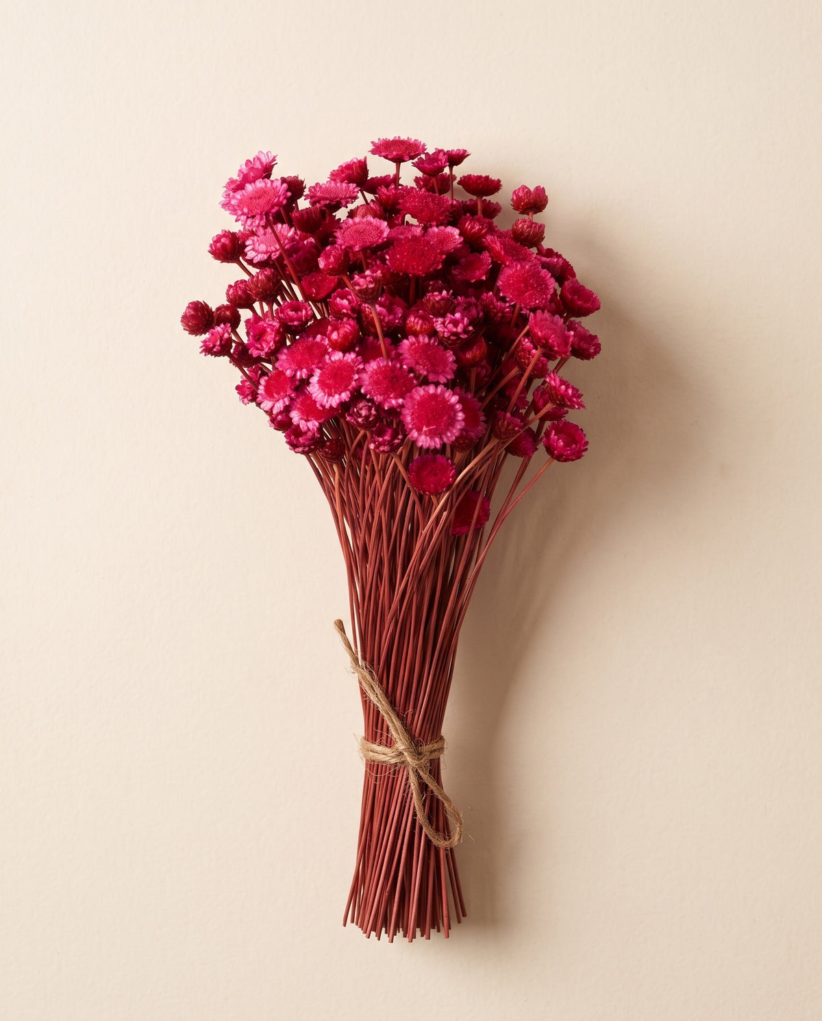 Margaret seca fucsia