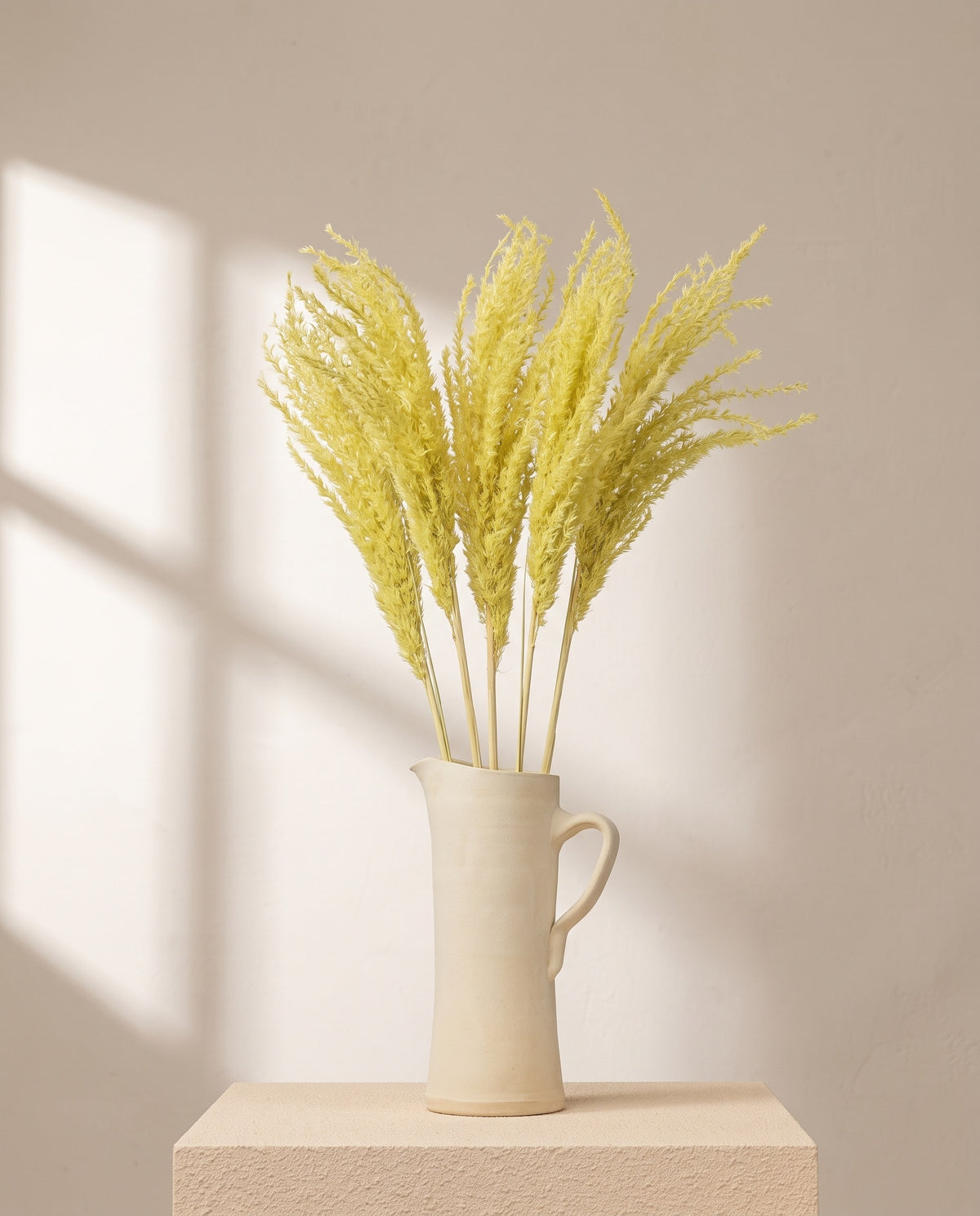 Miscanthus seco amarillo en una jarra de cerámica crema. Jarra no incluida.