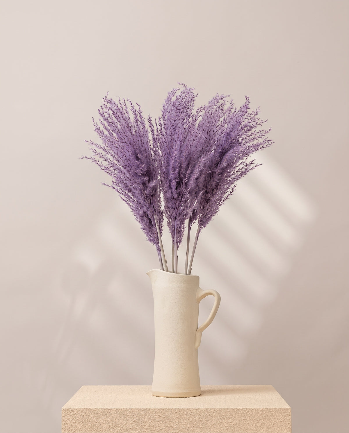 Miscanthus seco lavanda en una jarra de cerámica crema. Jarra no incluida.